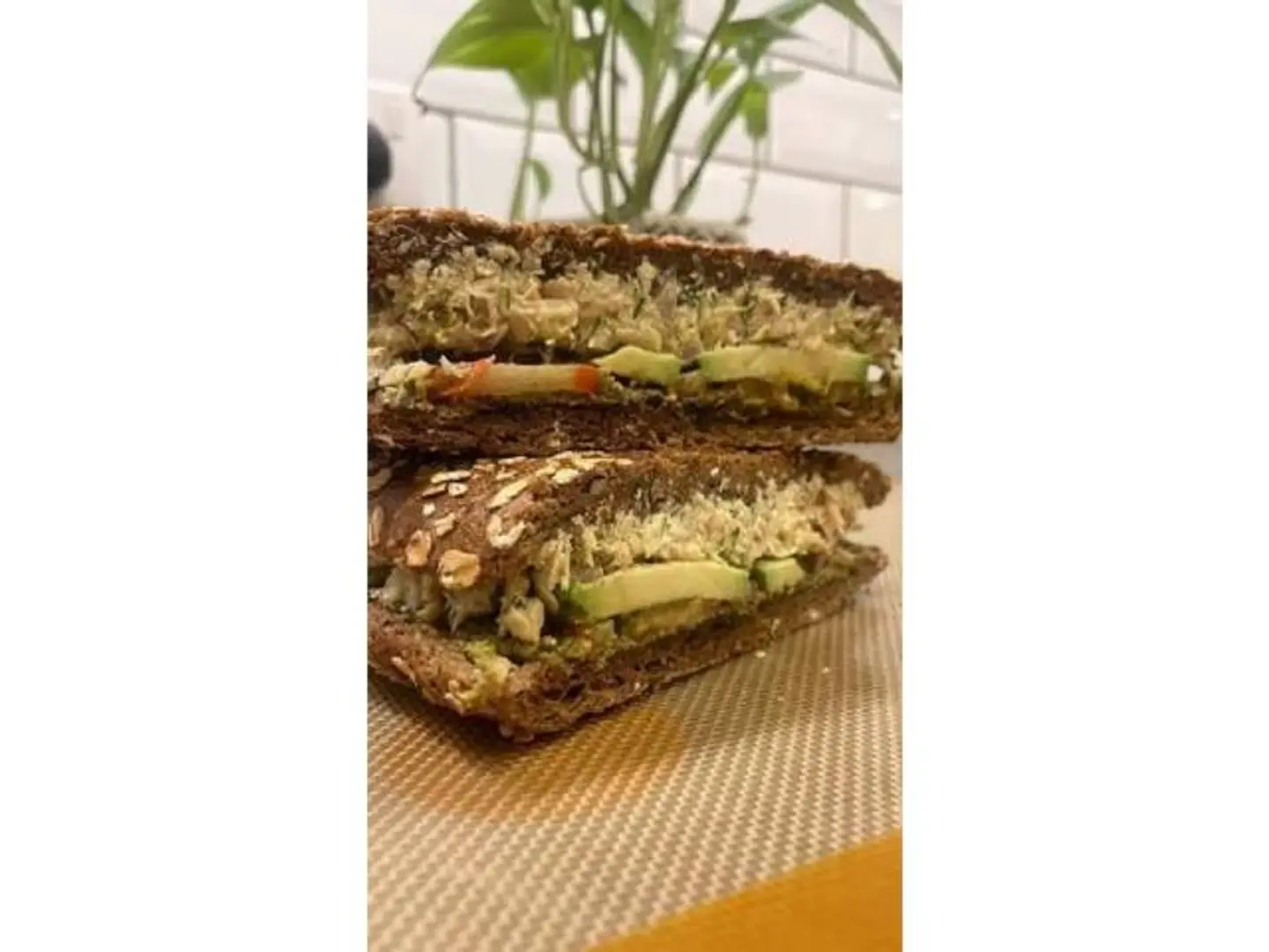 Tuna With German Multigrain Bread