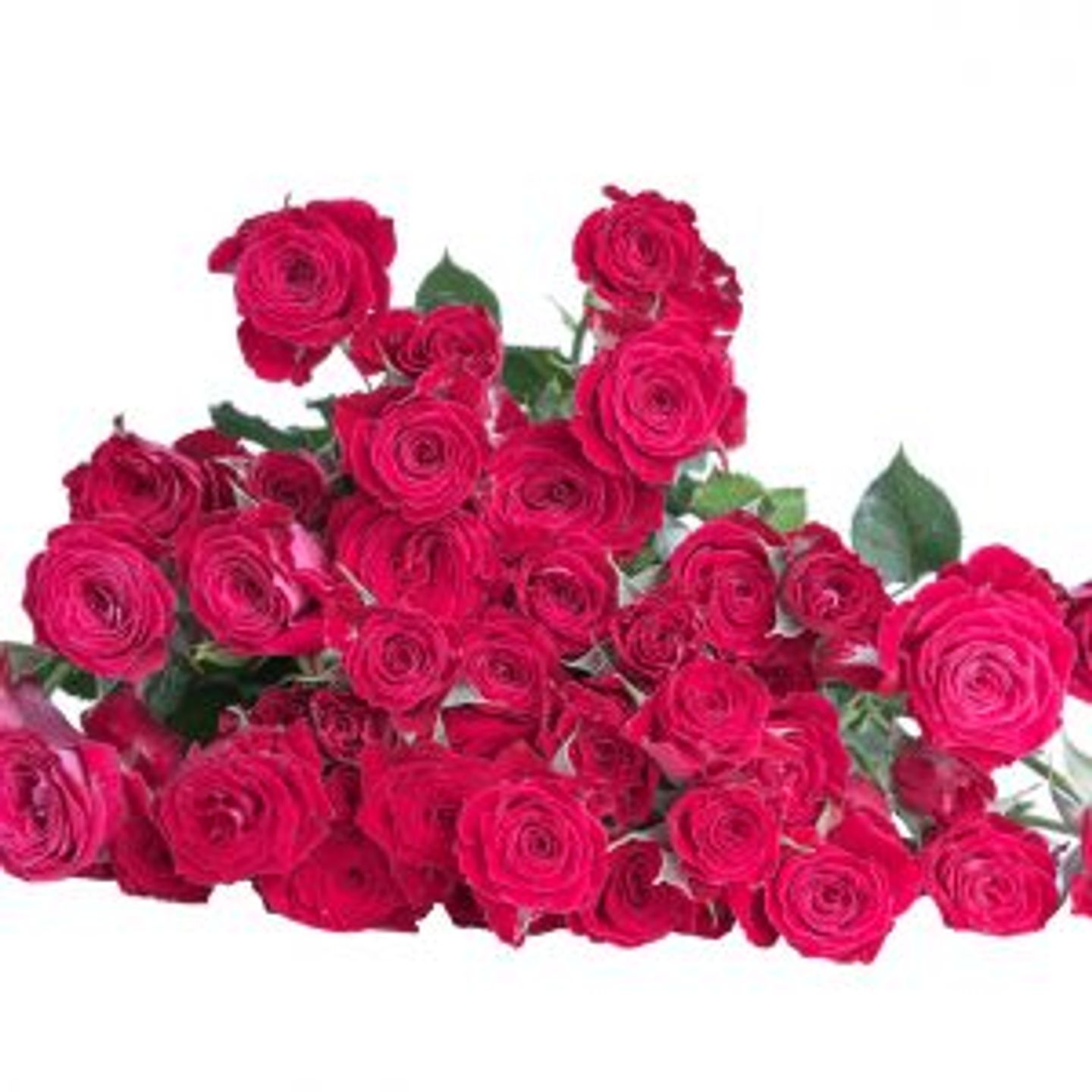A9 Pink Spray Rose 10 Stem