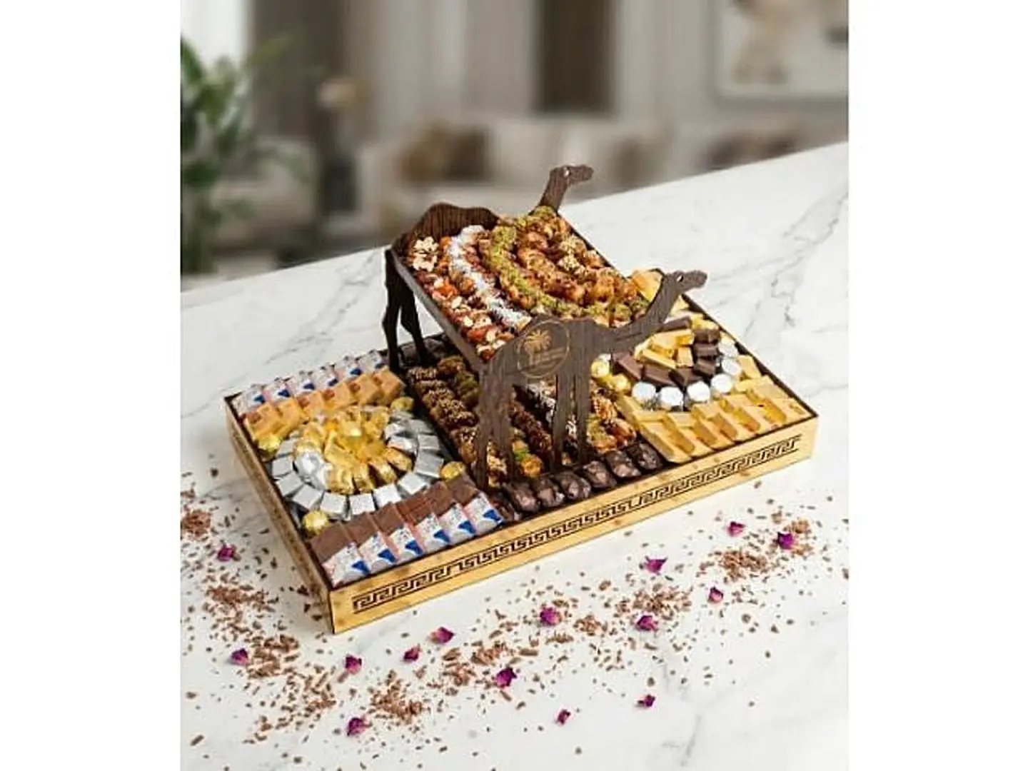 Premium Chocolate Covered Date Camel