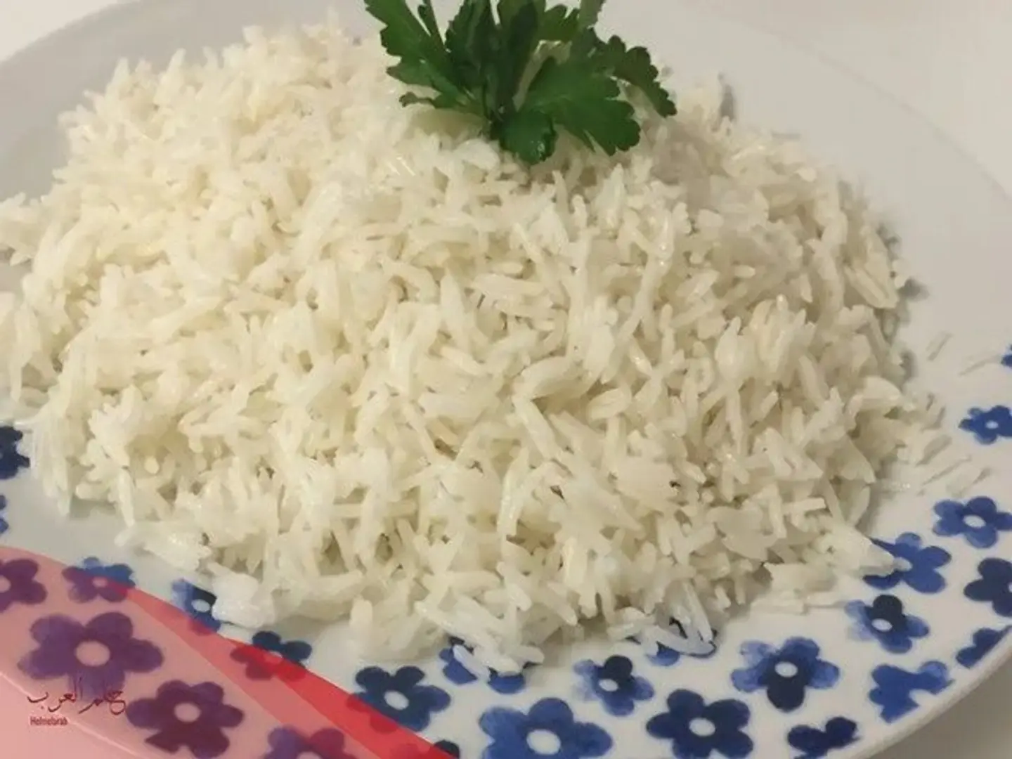 Rice Plate