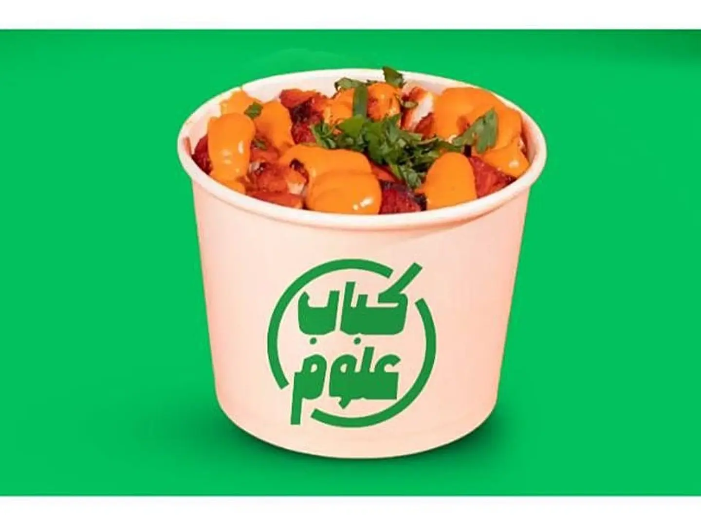 بطاطس تكا دجاج