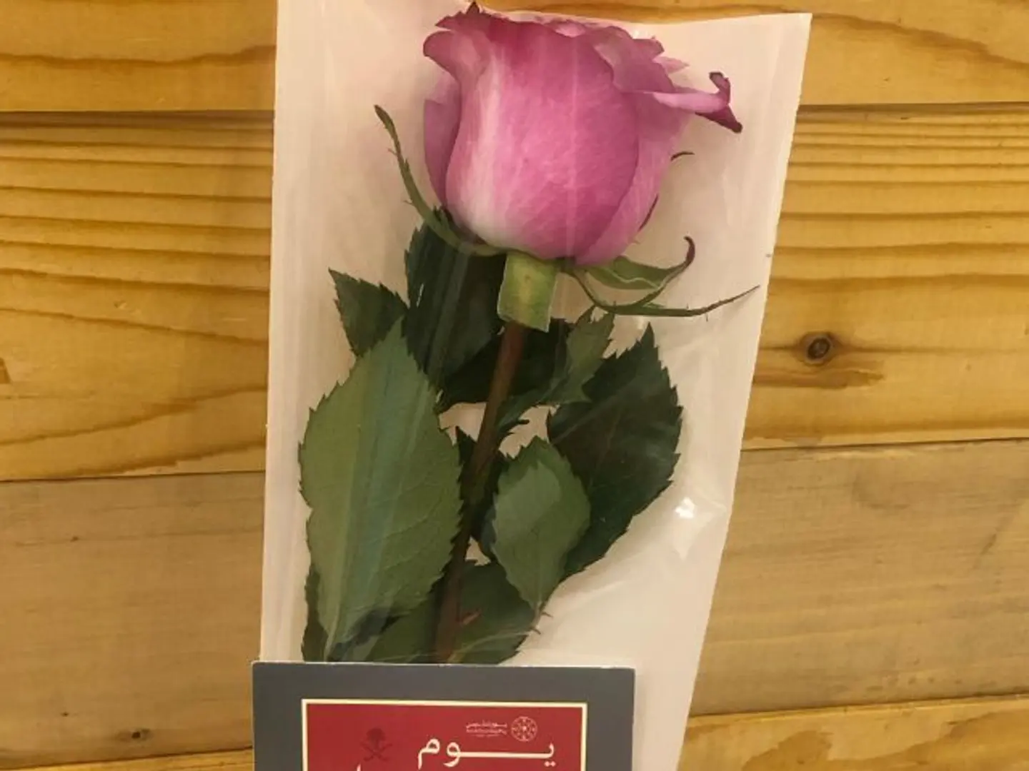 Rose Foundation Day 2
