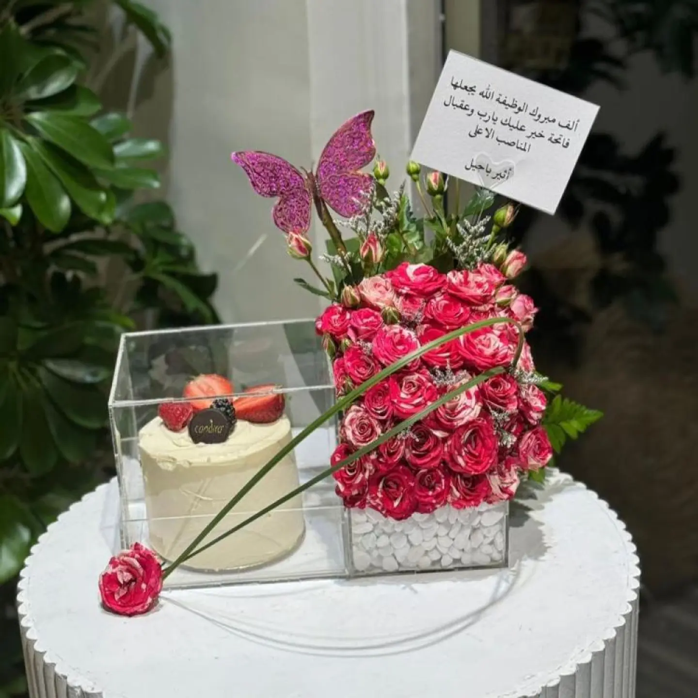 استاند ورد الاحتفال مع كيك