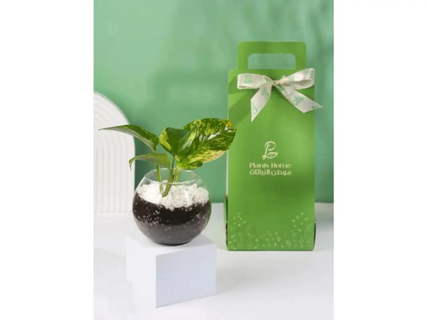 هدية بوتس وبوكس فاخر