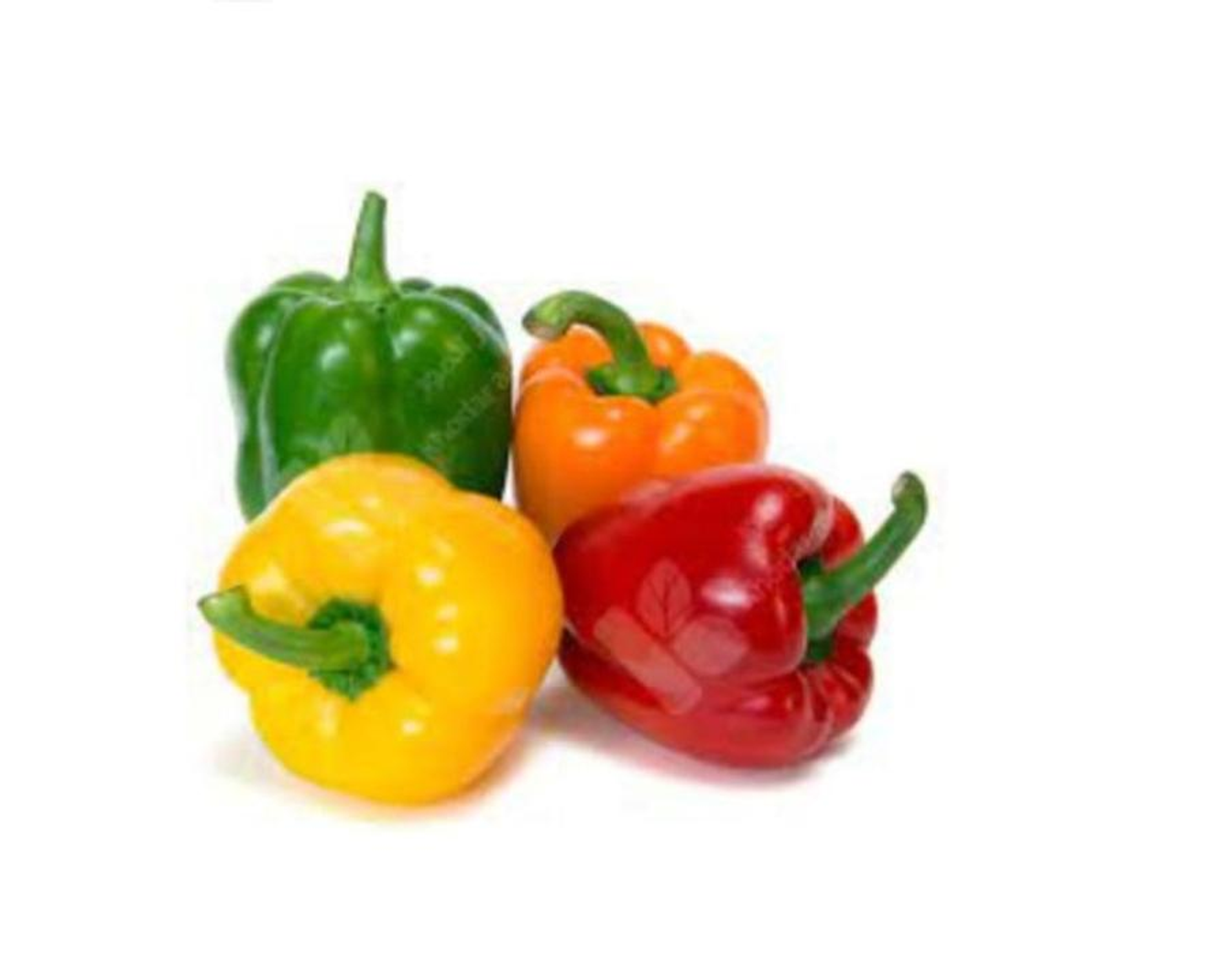 فلفل رومي ملون كيلو