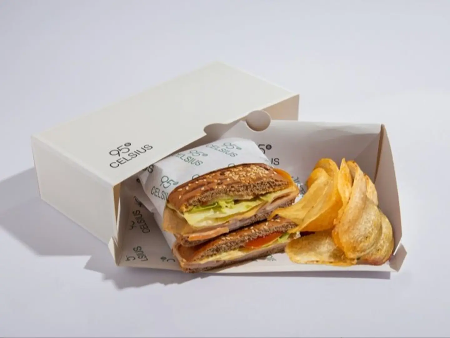 Turkey And Cheese Panini