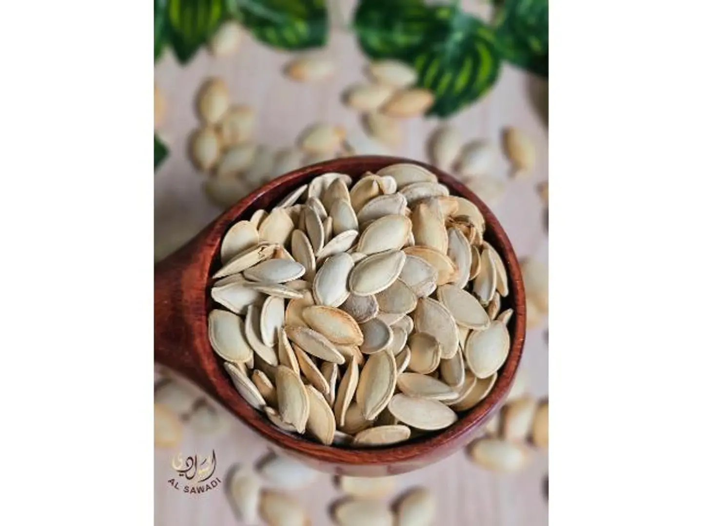 حب كوسه ساده