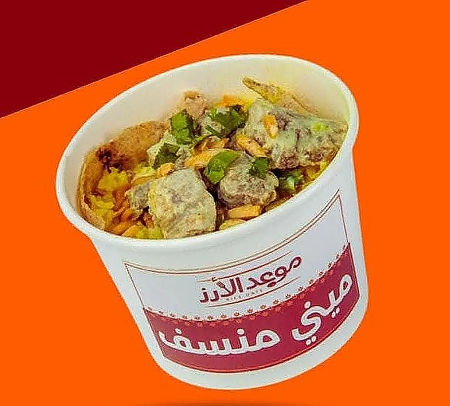 Mini Mansaf (Meat Dish)
