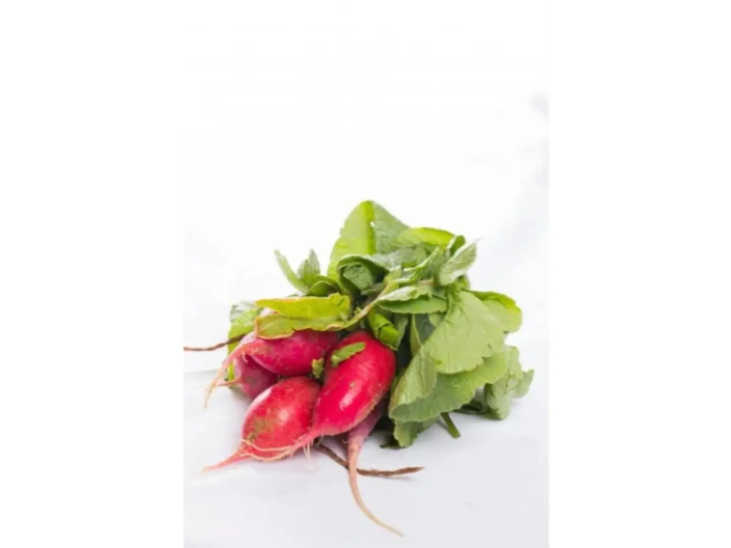 Red Radish