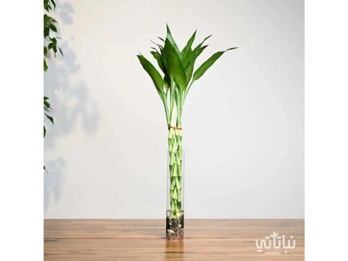 Bamboo Cylinder Braided Vase