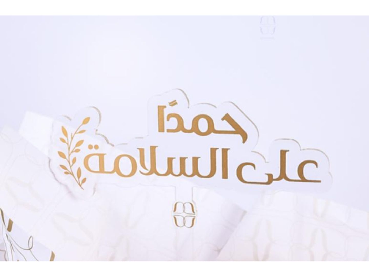 تغريسه الحمدلله على السلامة
