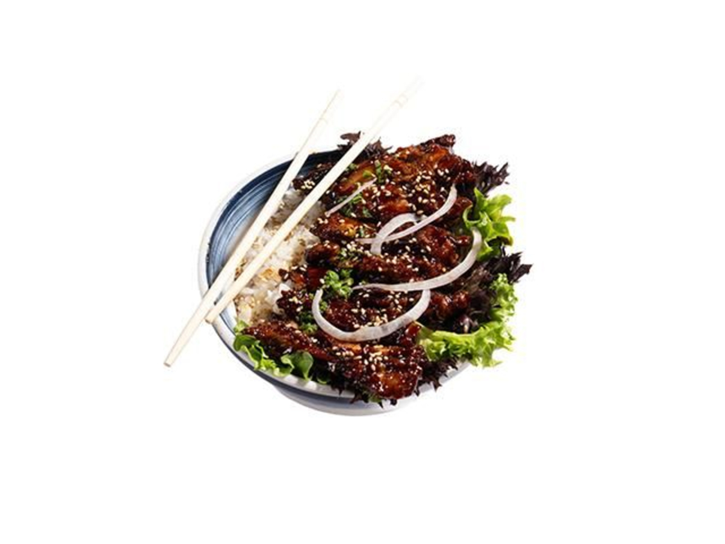 دونبوري دجاج ترياكي