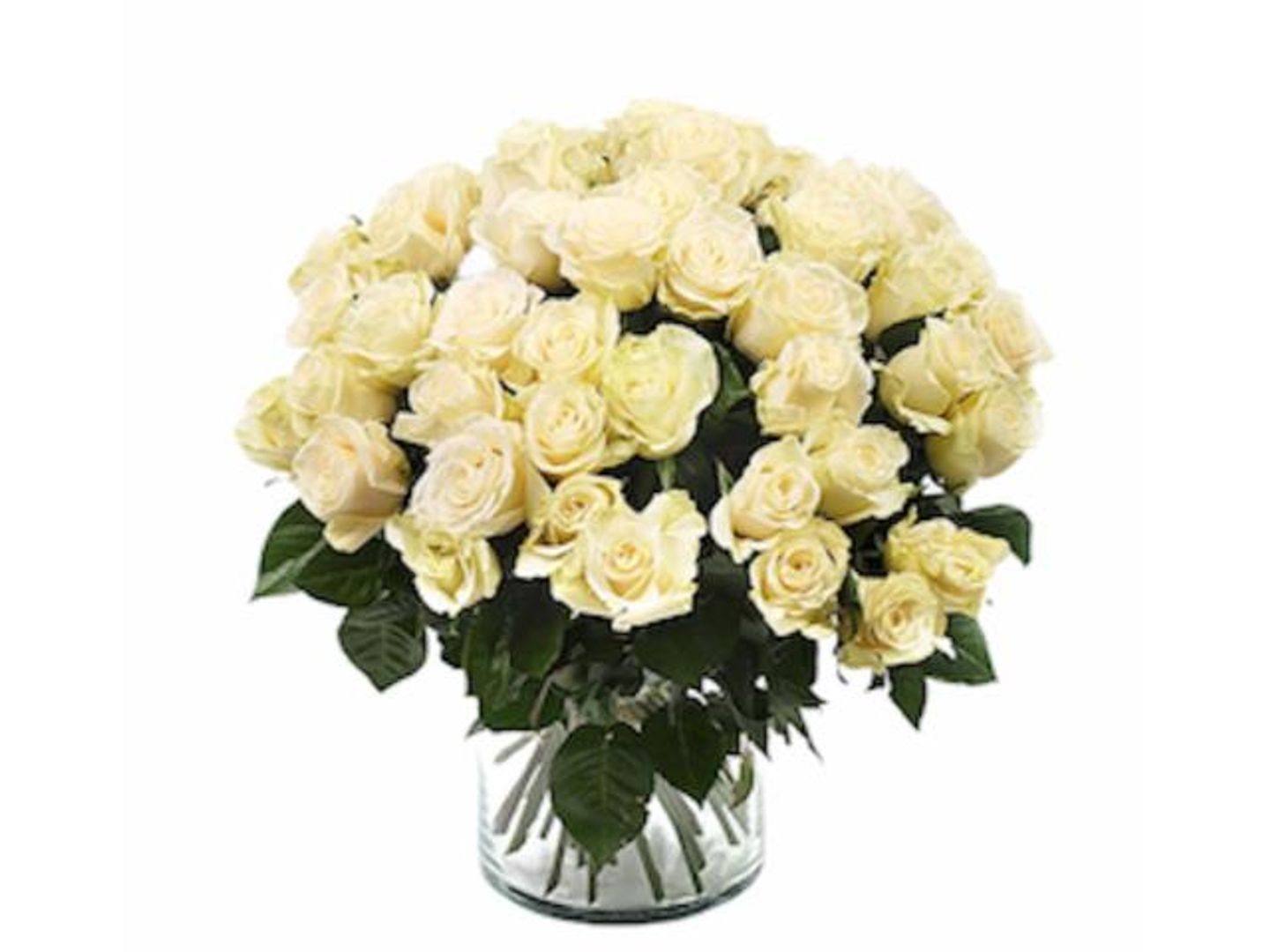 فازه النقاء