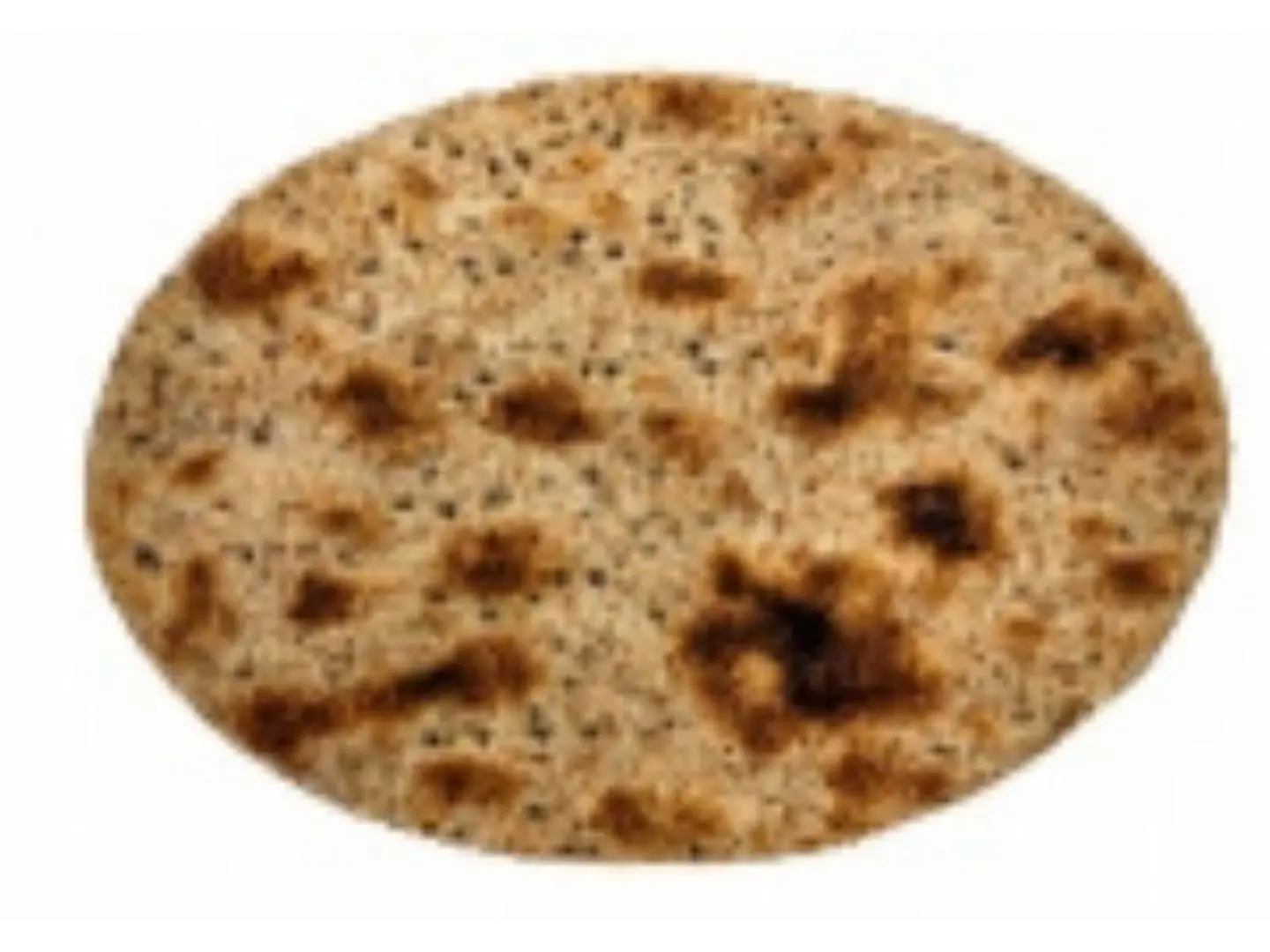 Whole Wheat Bread