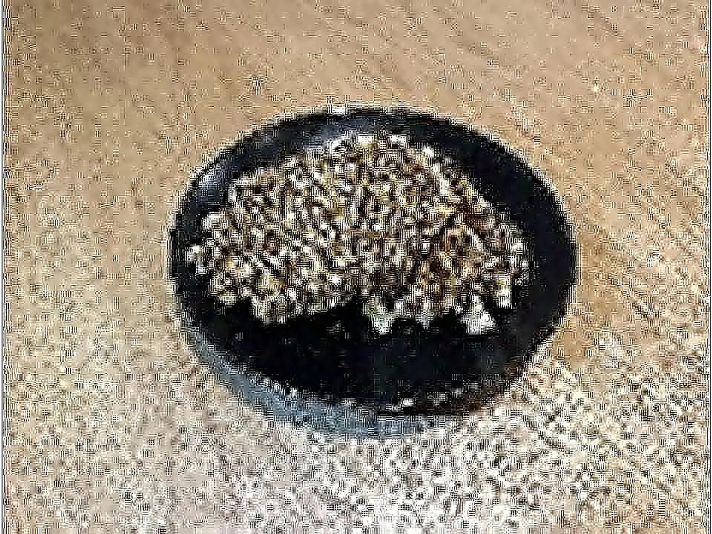 وافل شكولاته + ( مشروب ساخن شاي تلقيمة او كرك)