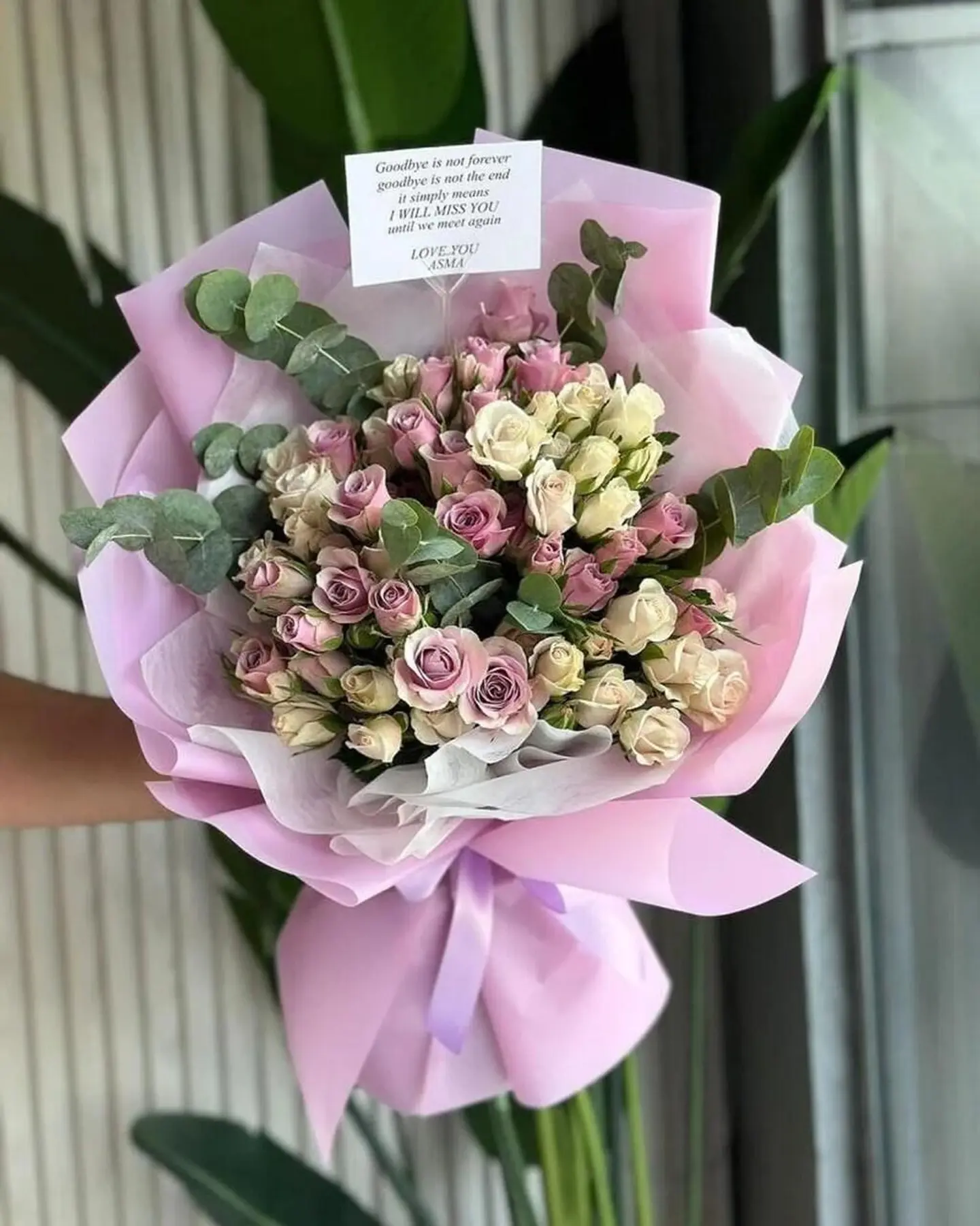 بوكي مولوه الكيوته