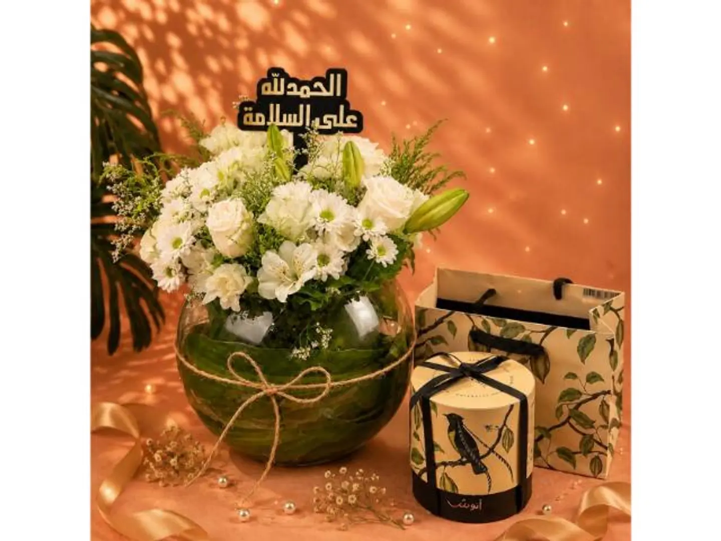 Anoush Word Reno Anoush 5