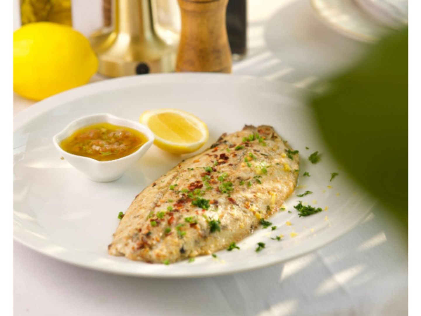 Spice Fillet