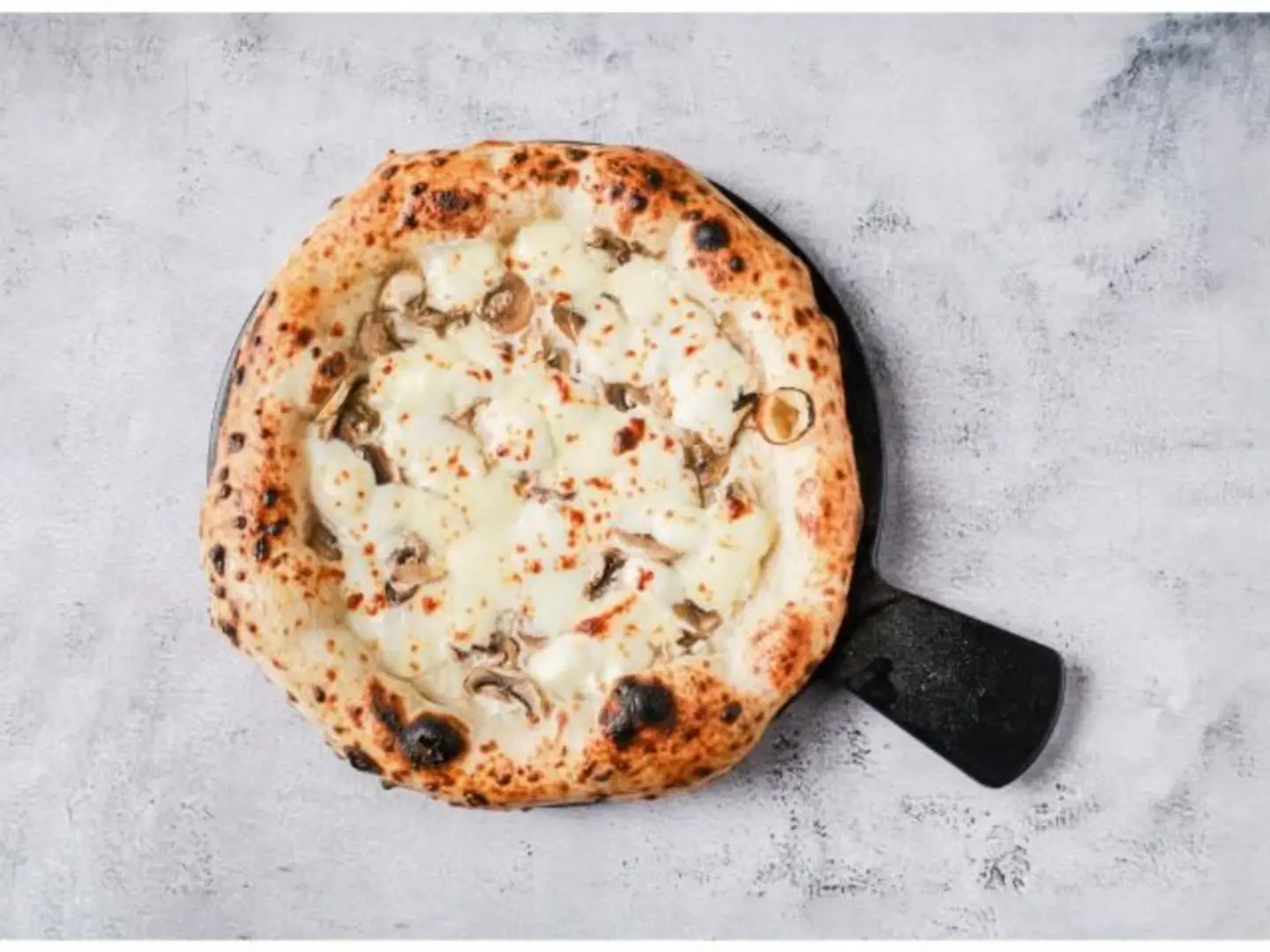 بيتزا ترافل