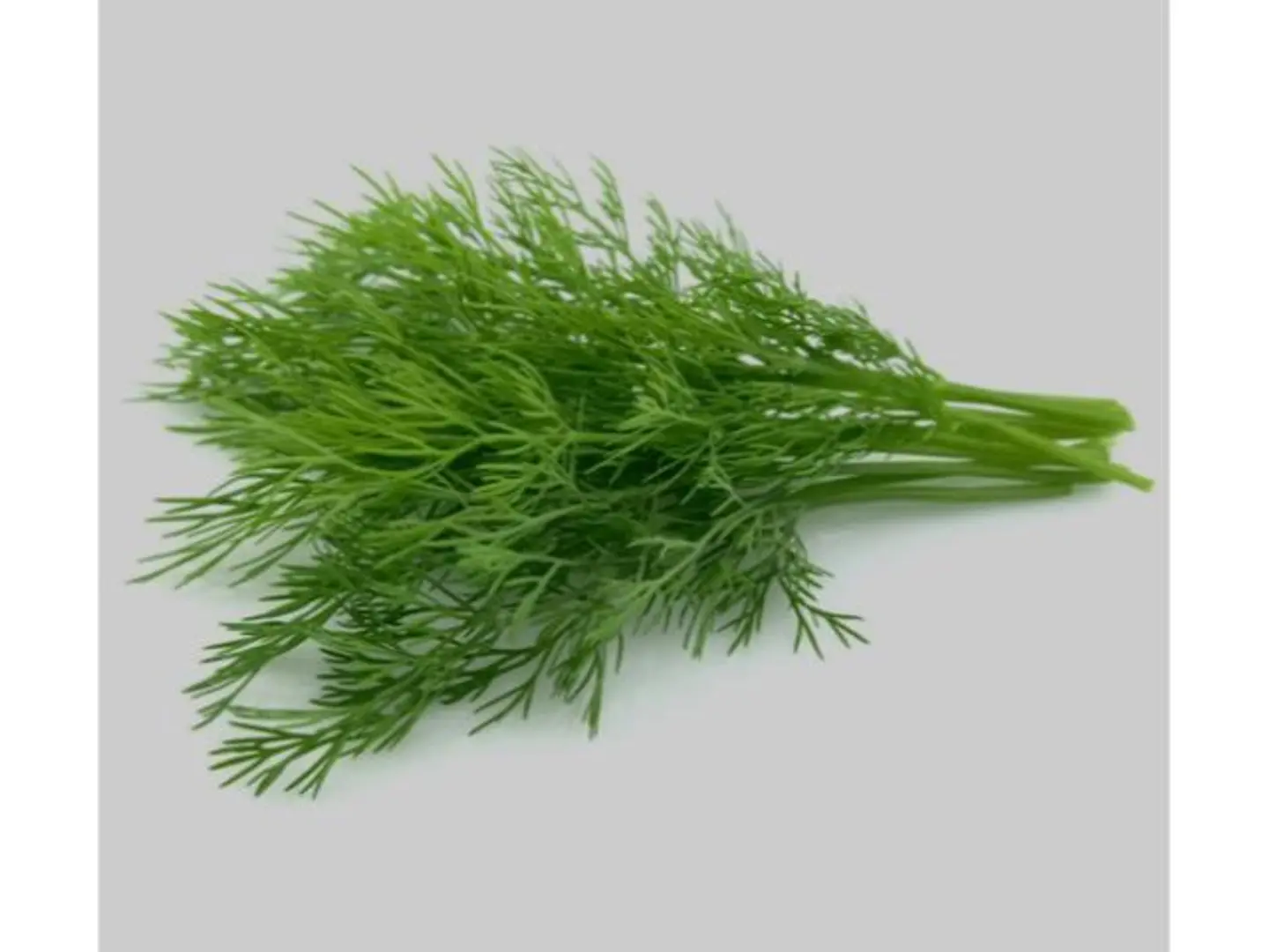 شبت حزمة