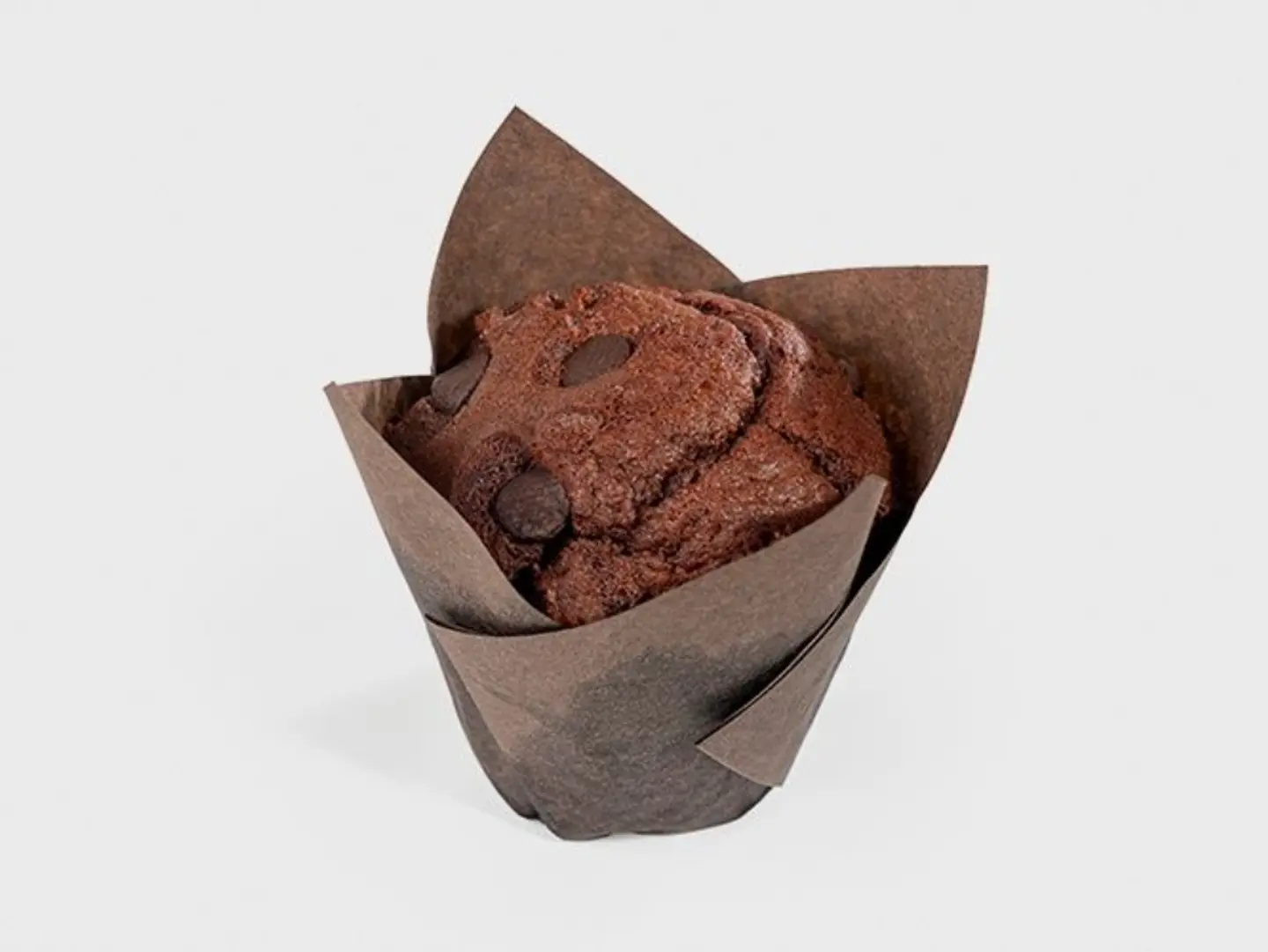 Chocolate Muffin
