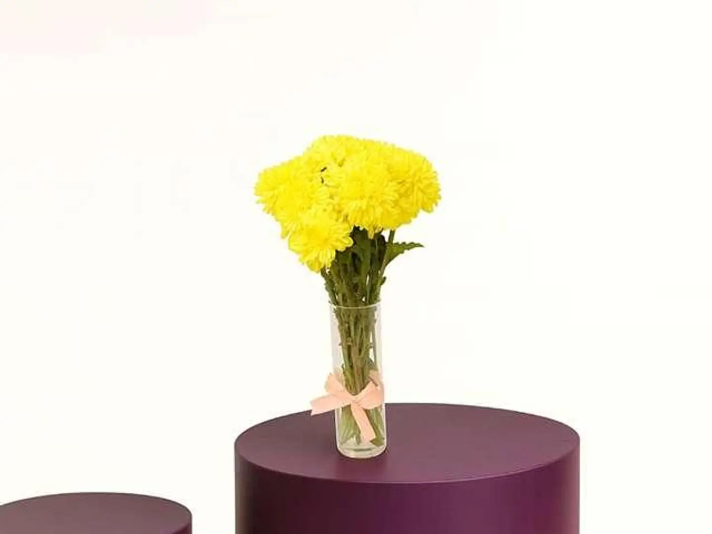 Cherry Vase