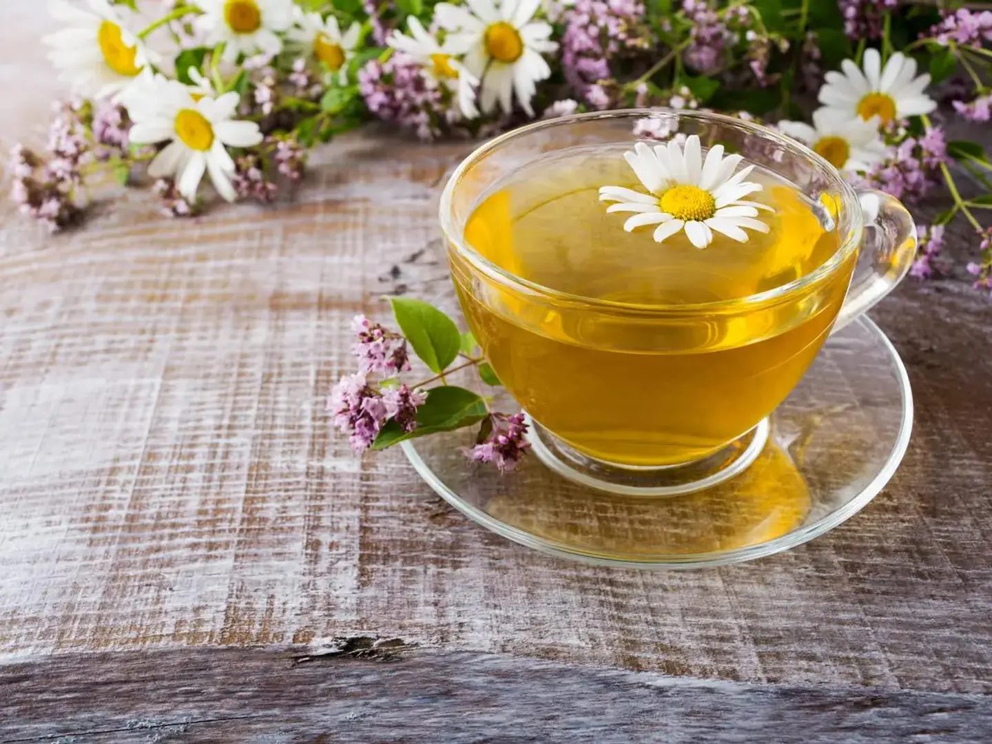 Chamomile