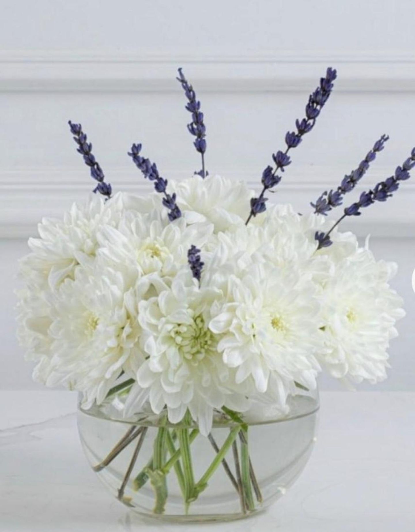 Wellness Vase