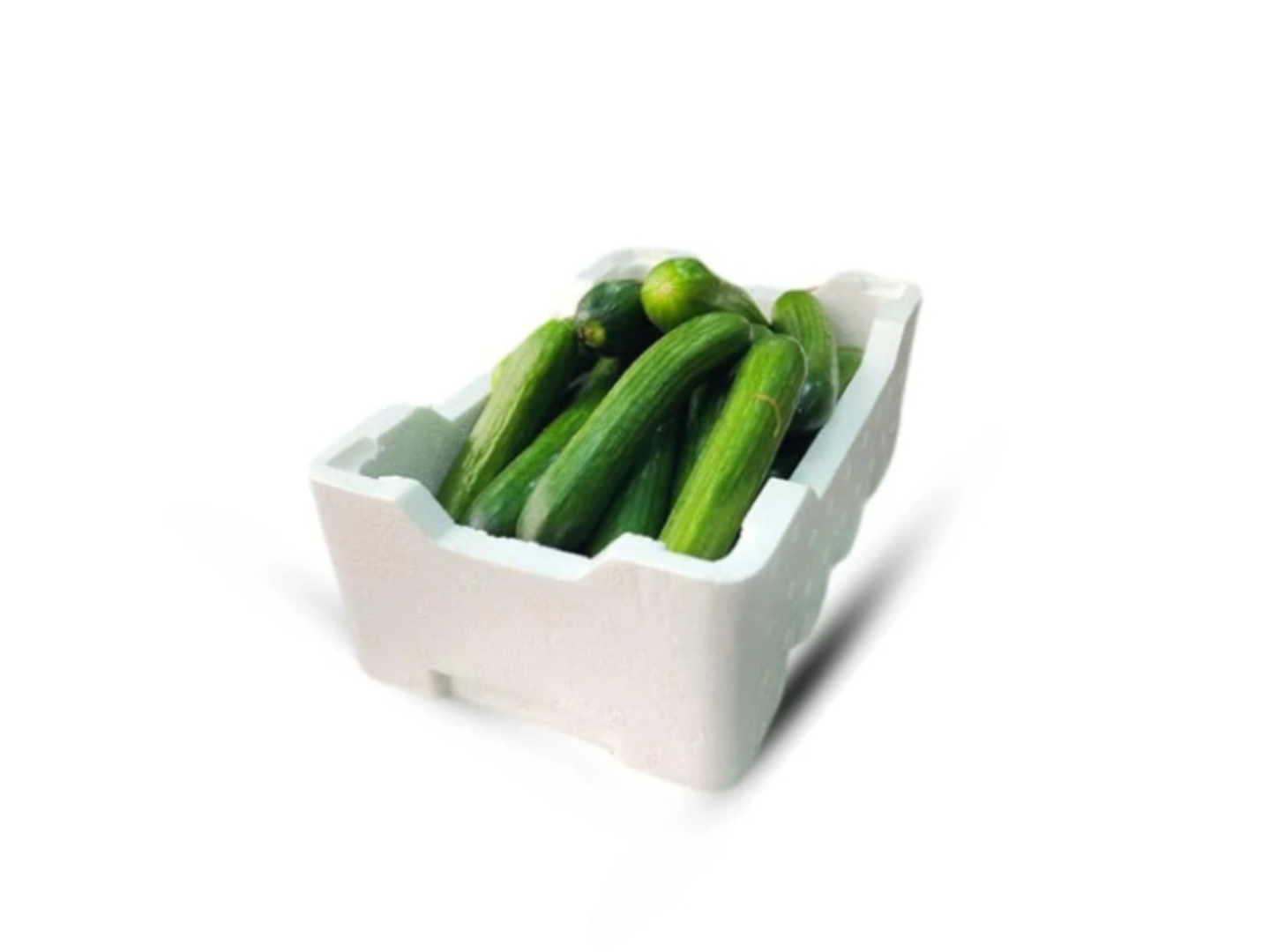 Cucumber Medium Box