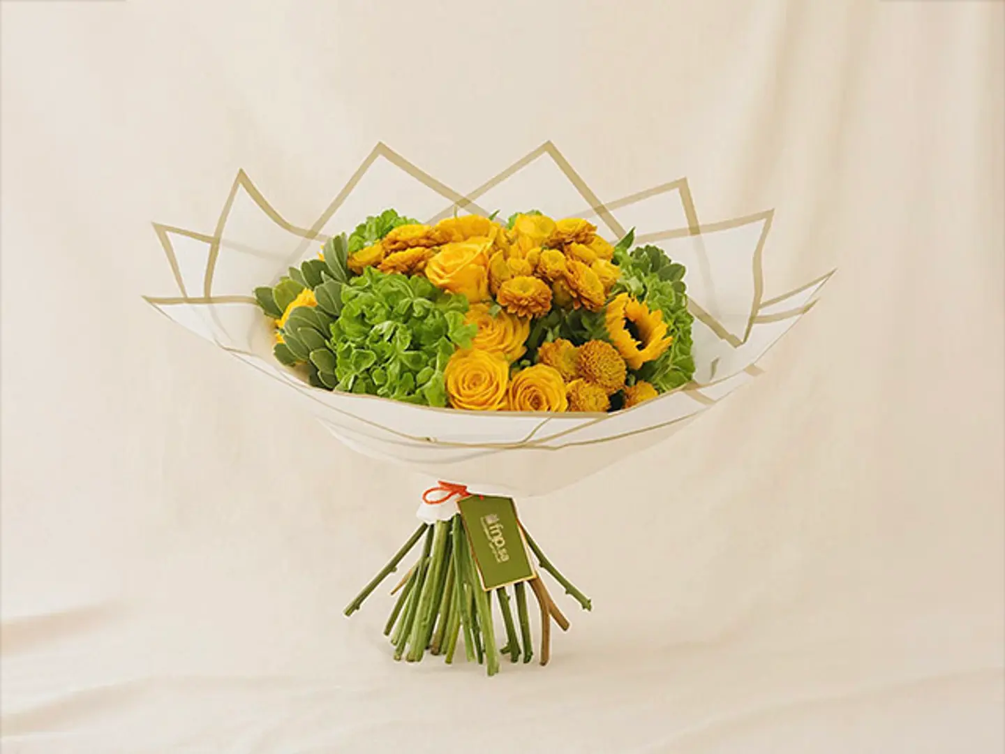 نسيم الحدائق