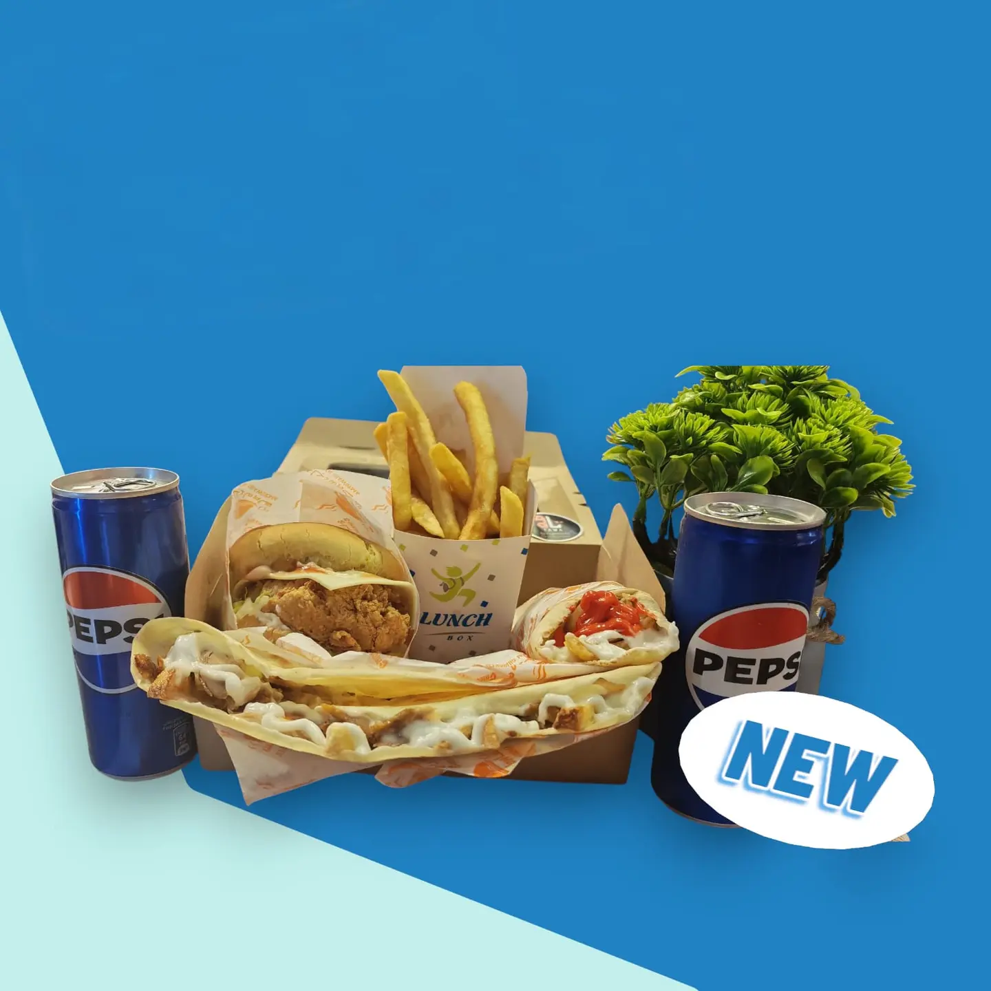 بوكس تاوة 49