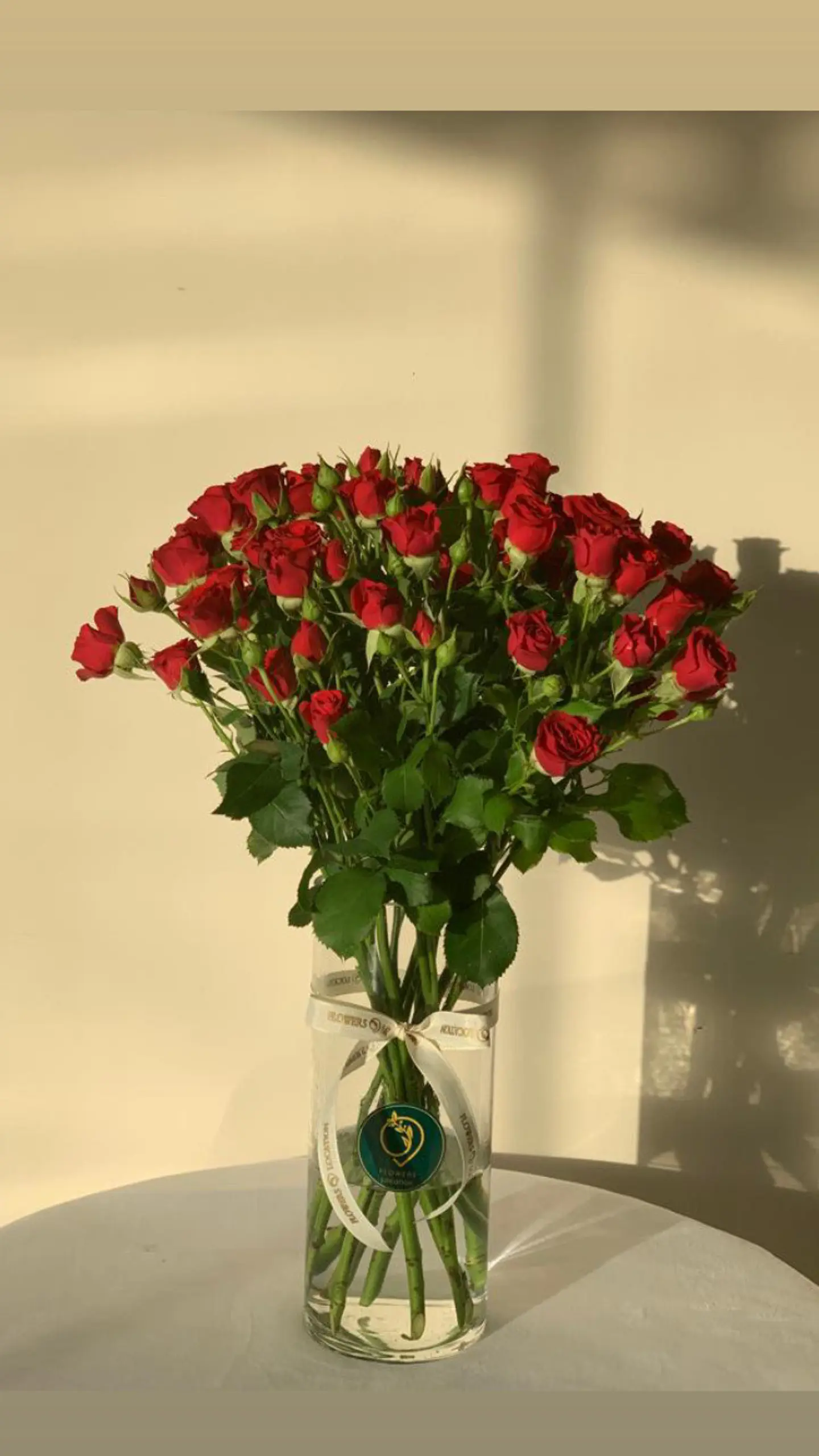 فازة بيبي روز