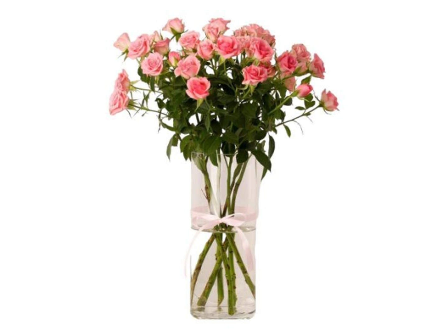 Pink Baby Rose Vase