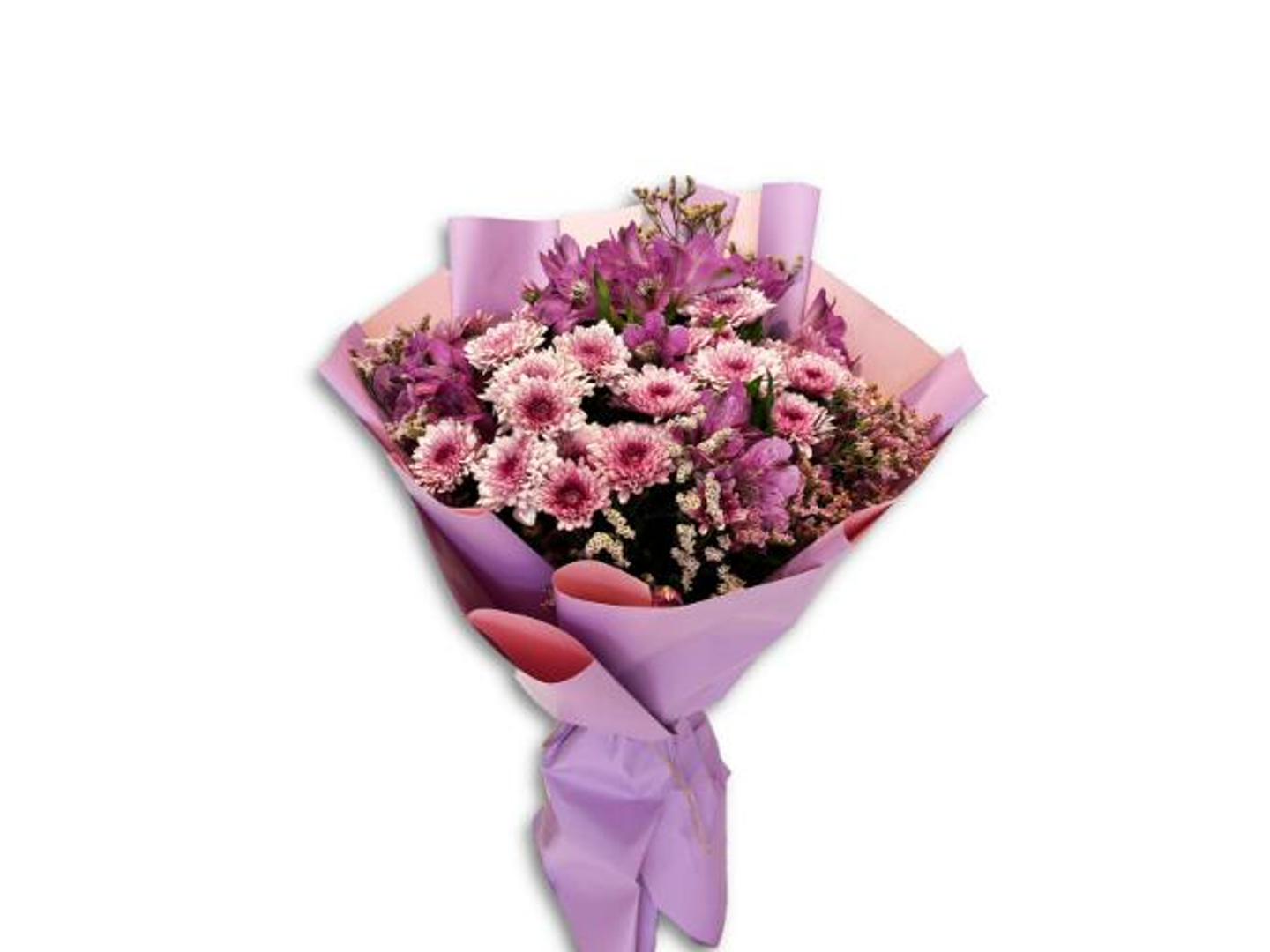 أقحوان وستروميريا