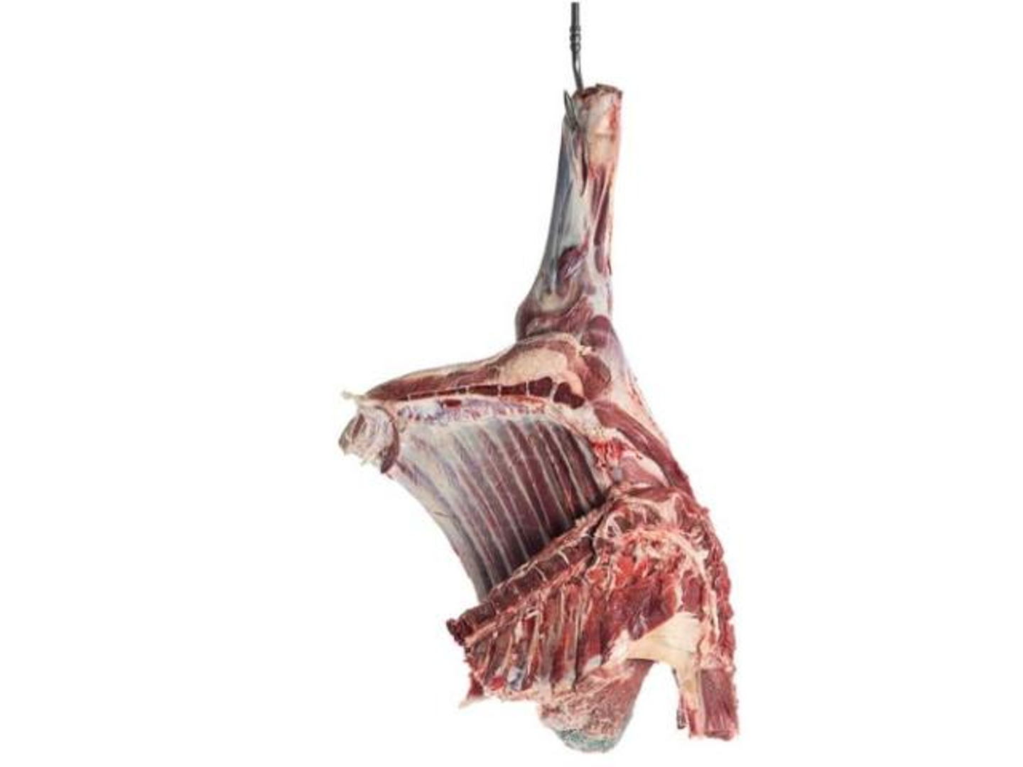 Boneless Hashi Meat