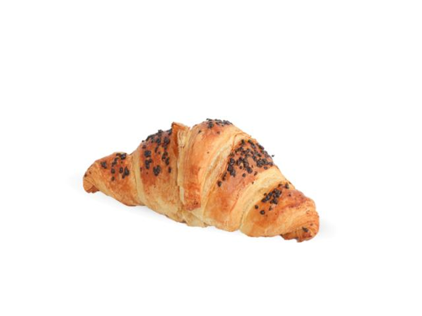 Chocolate Croissant