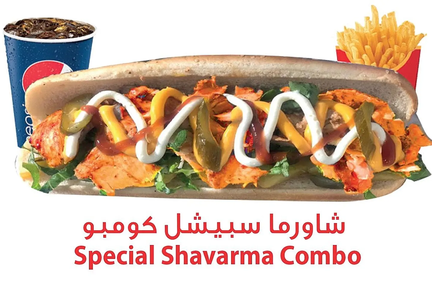 Special Shawarma Meal