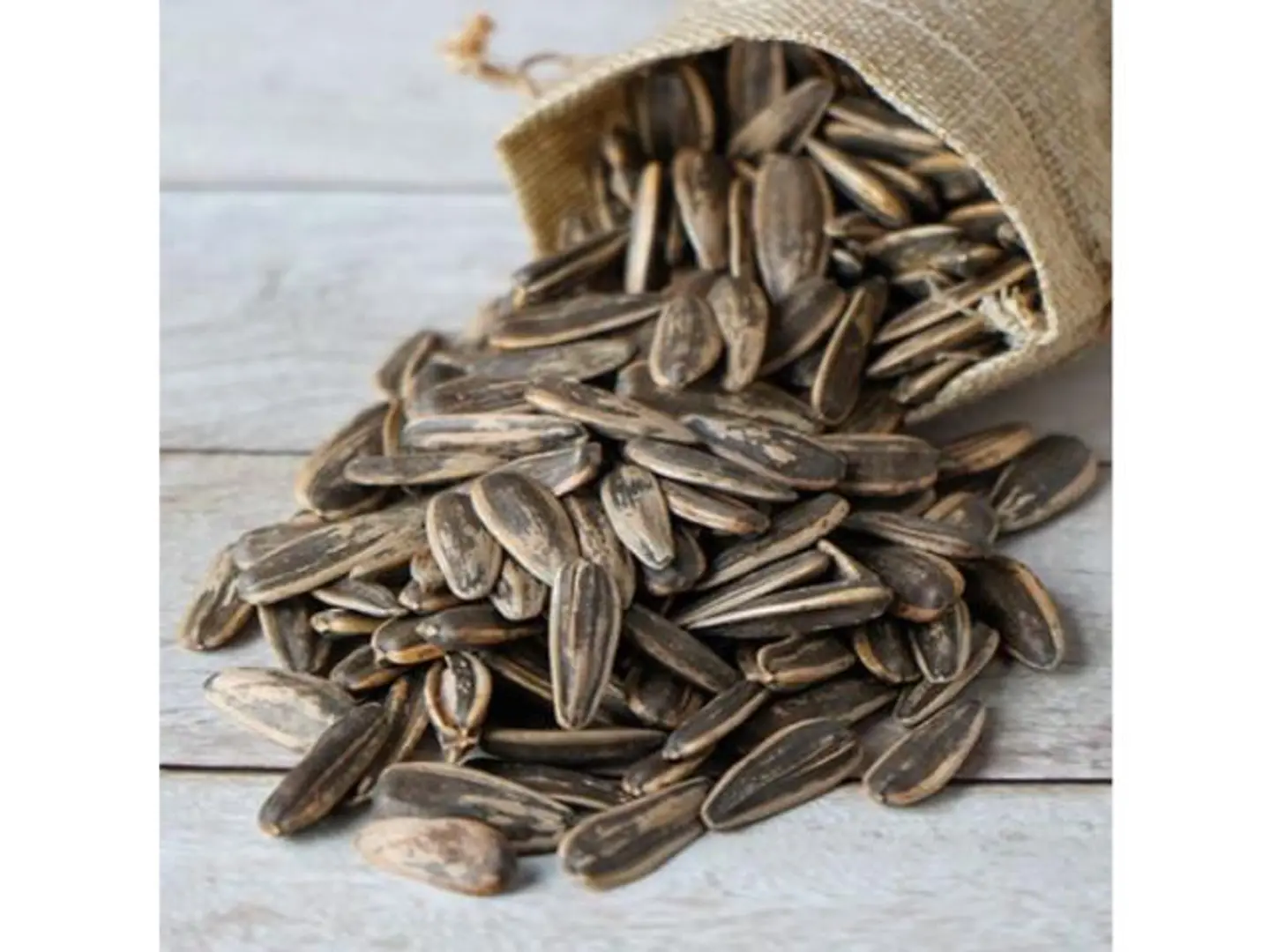 حب دوار الشمس
