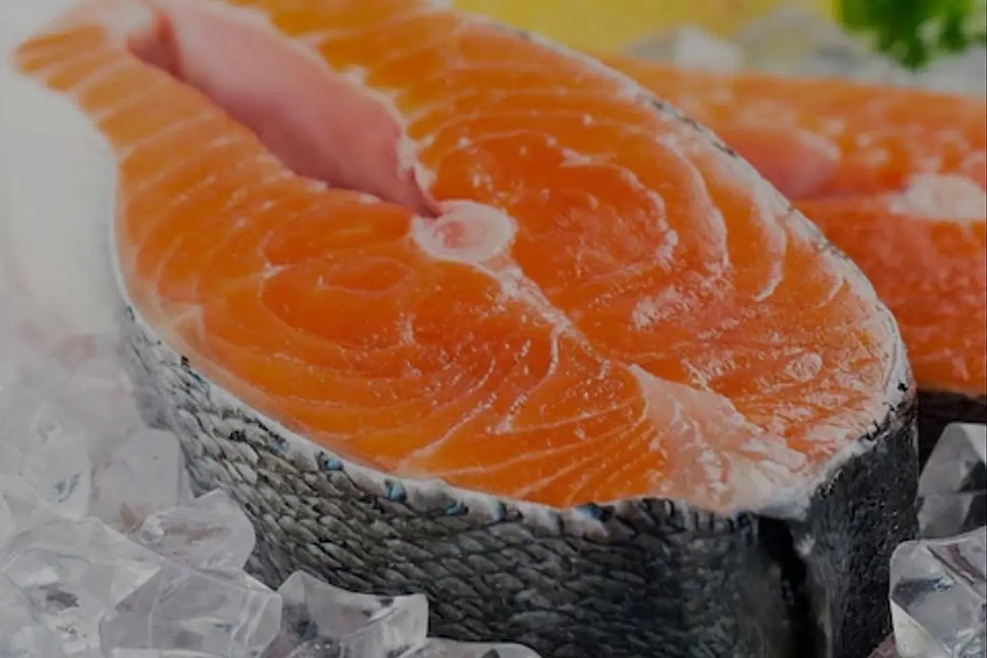 Salmon