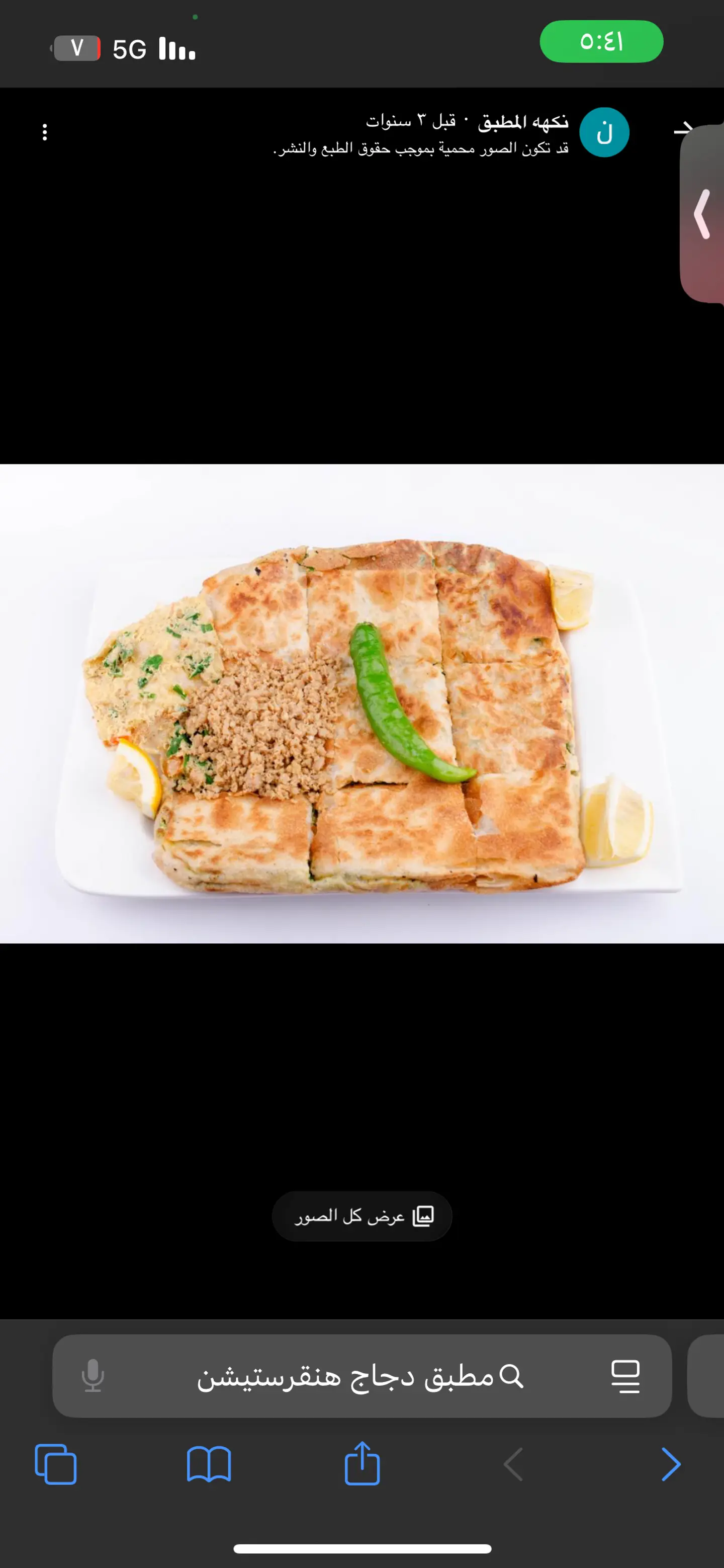 Chicken Mutabaq