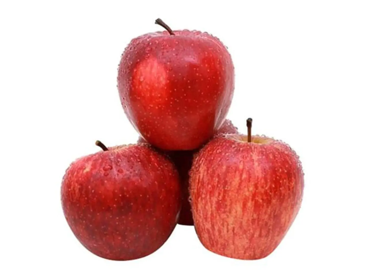 Red Syrian Apple
