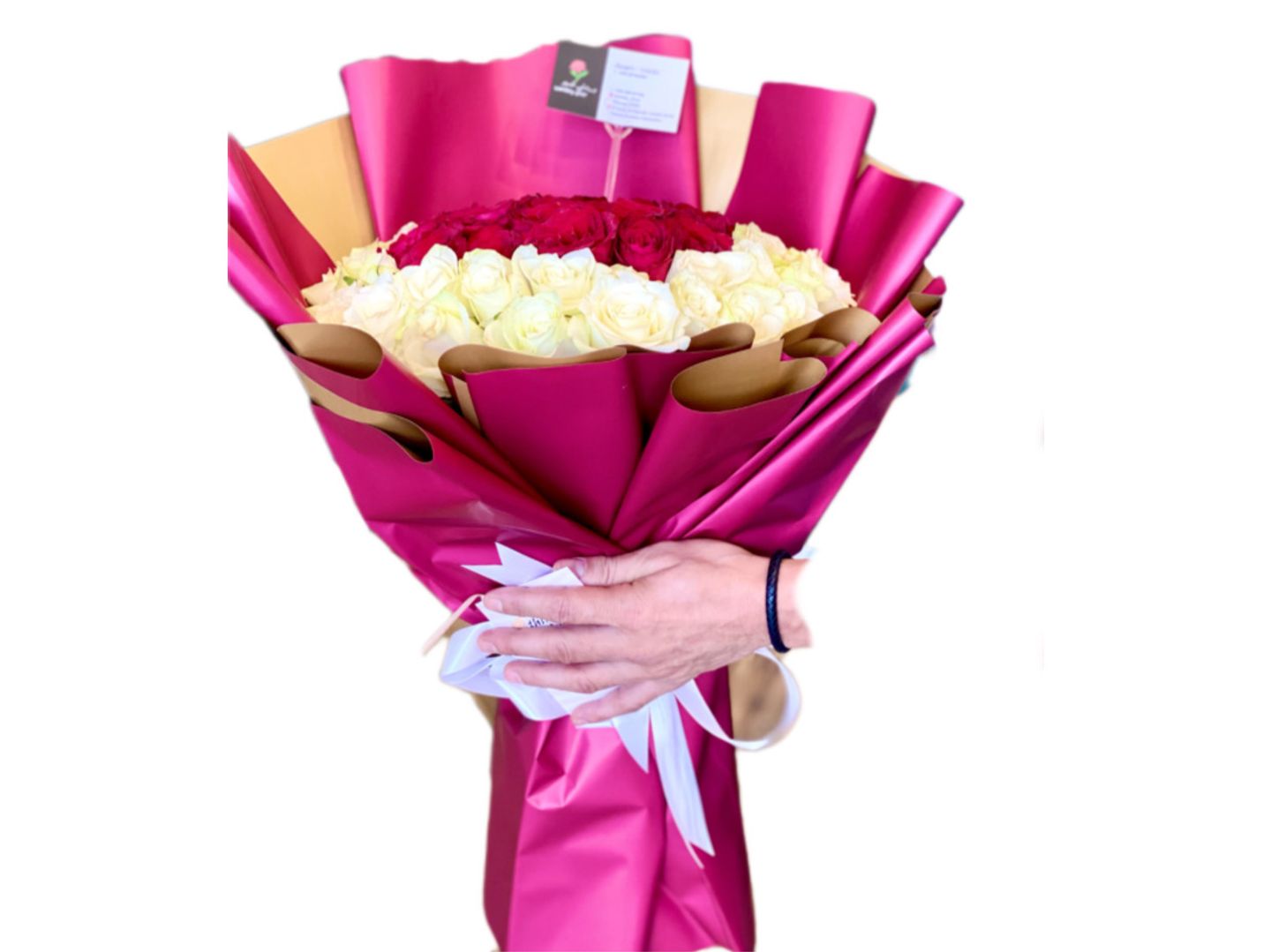 F41 Rose