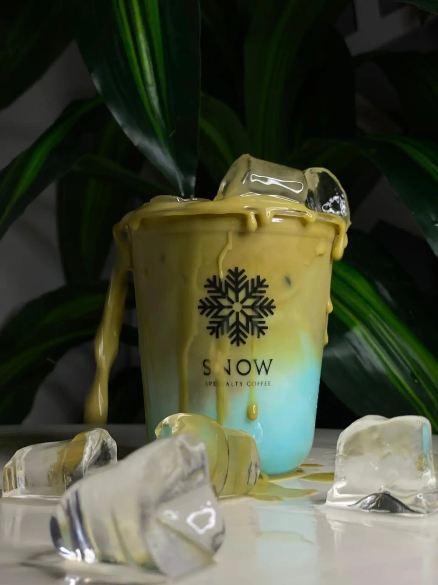 Iced Snow Latte