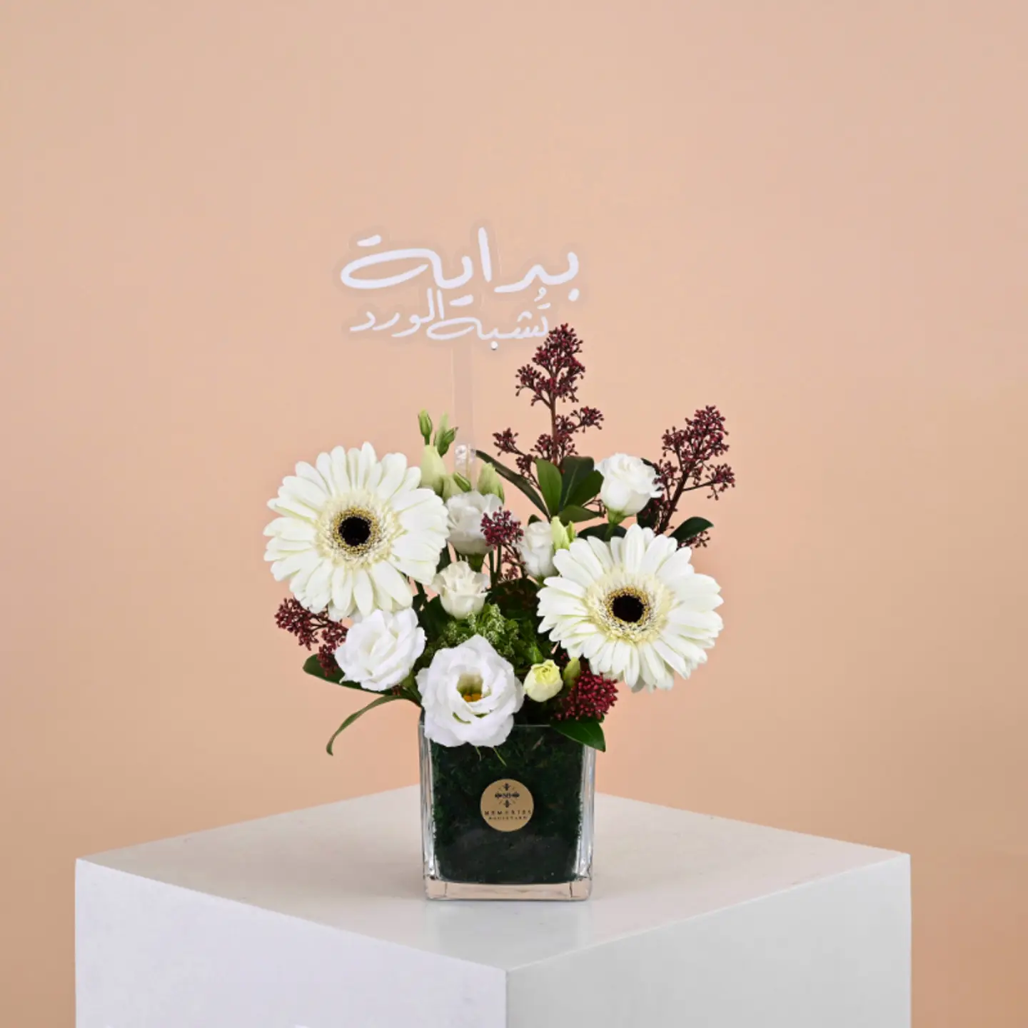 The Vase Of Light Of Beginnings