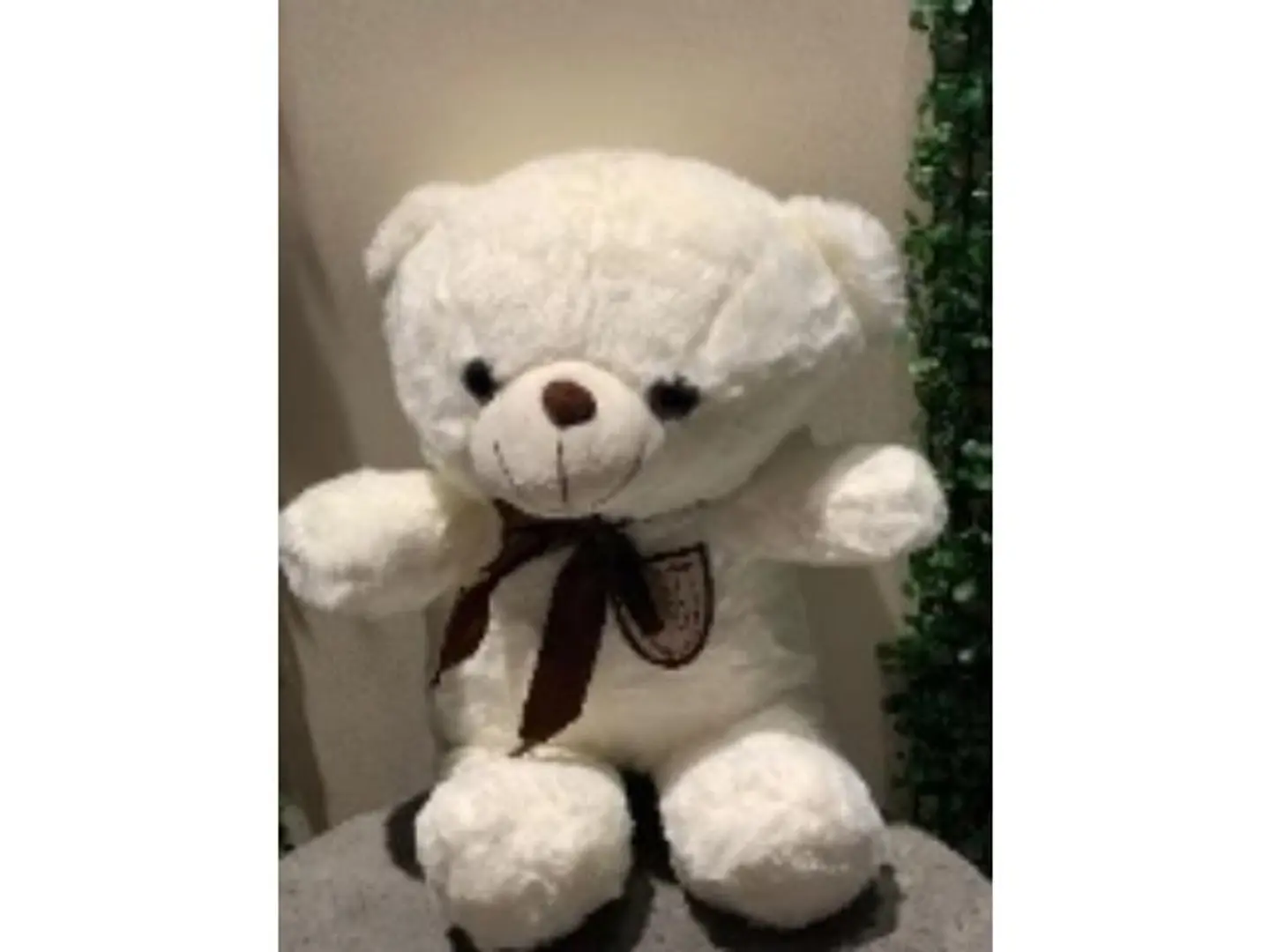 دمية دبدوب ابيض