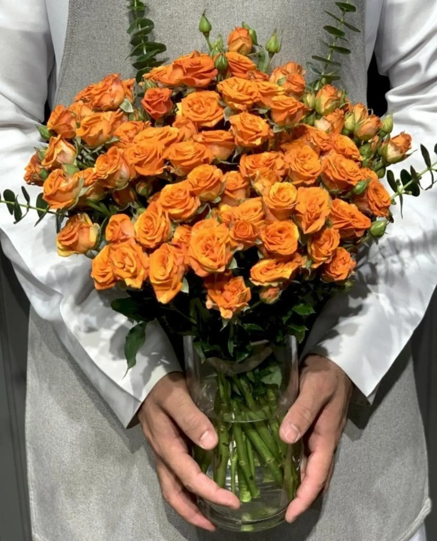 فازة اورانج 2