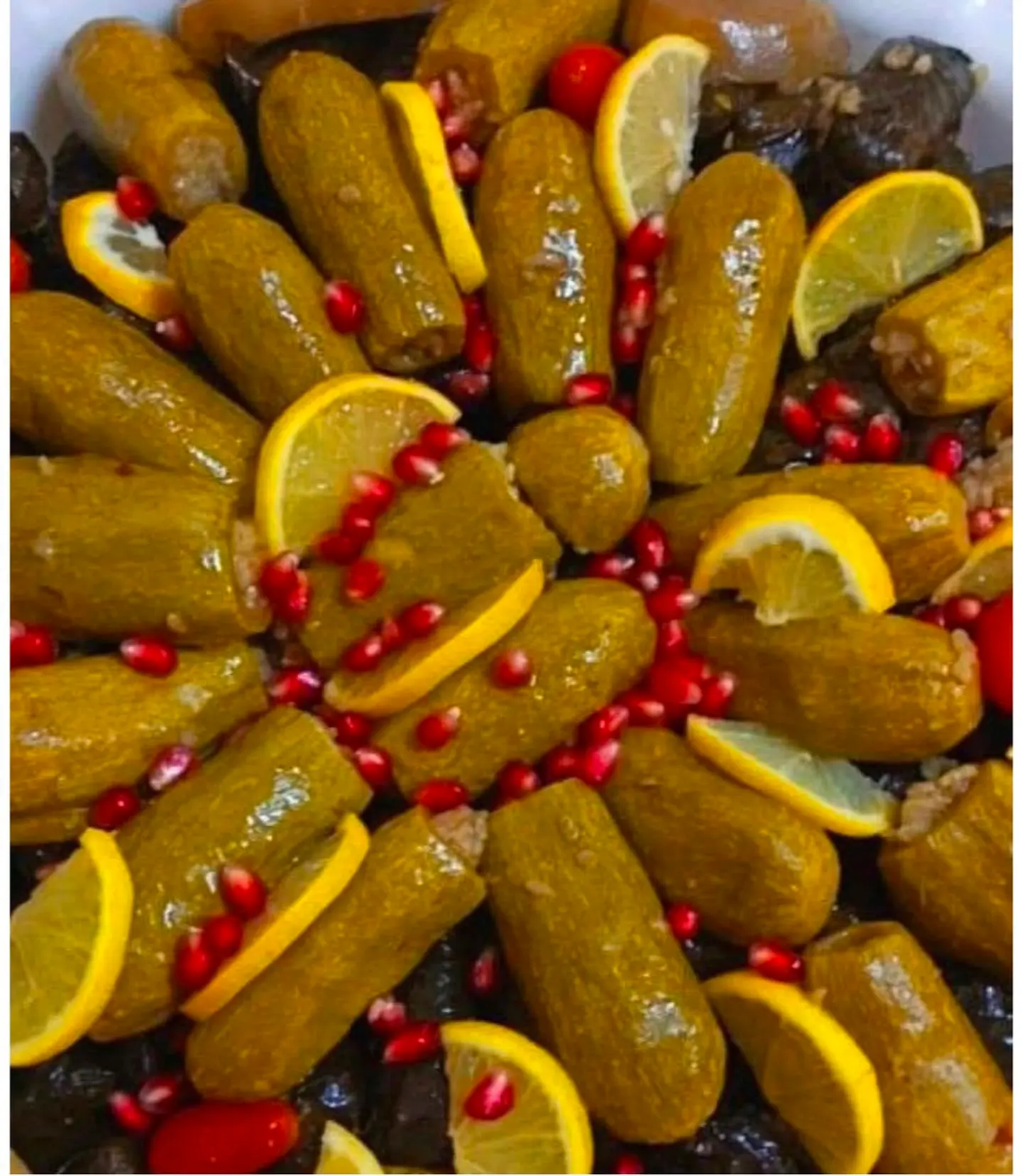 Zucchini Family Pack