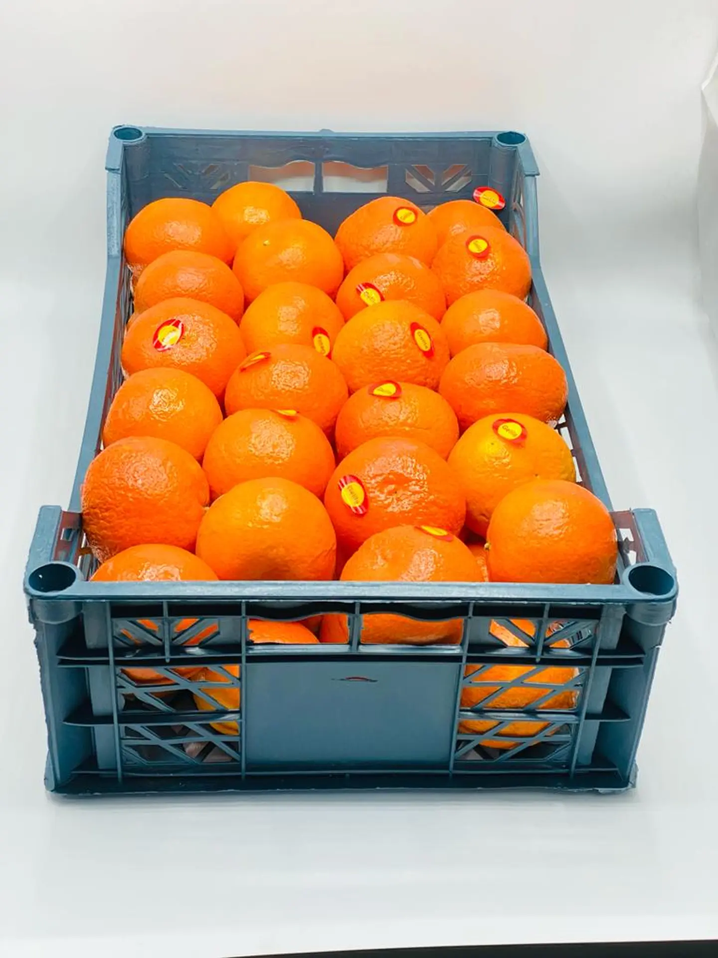 Egyptian Mandarin Large Basket
