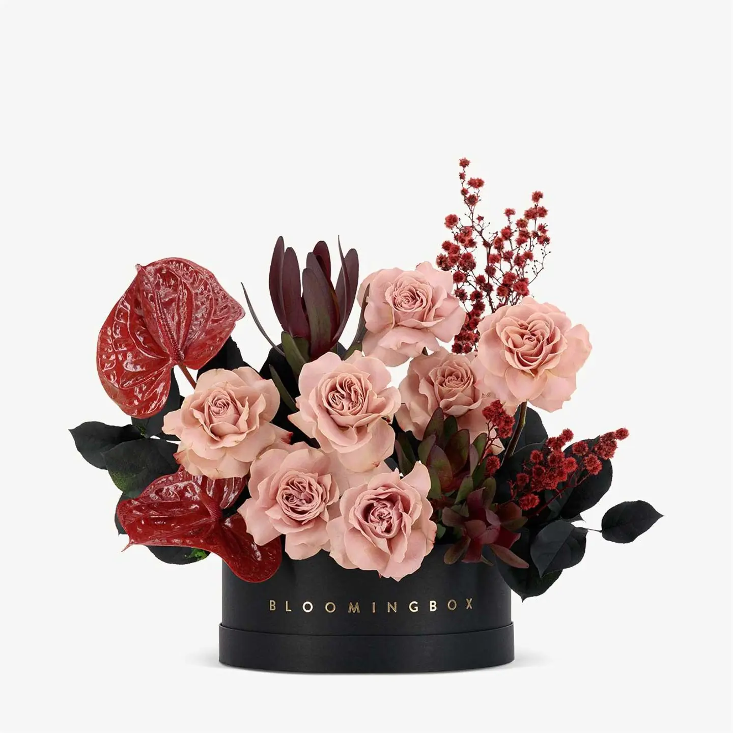 تشكيلة الغسق القصيرة