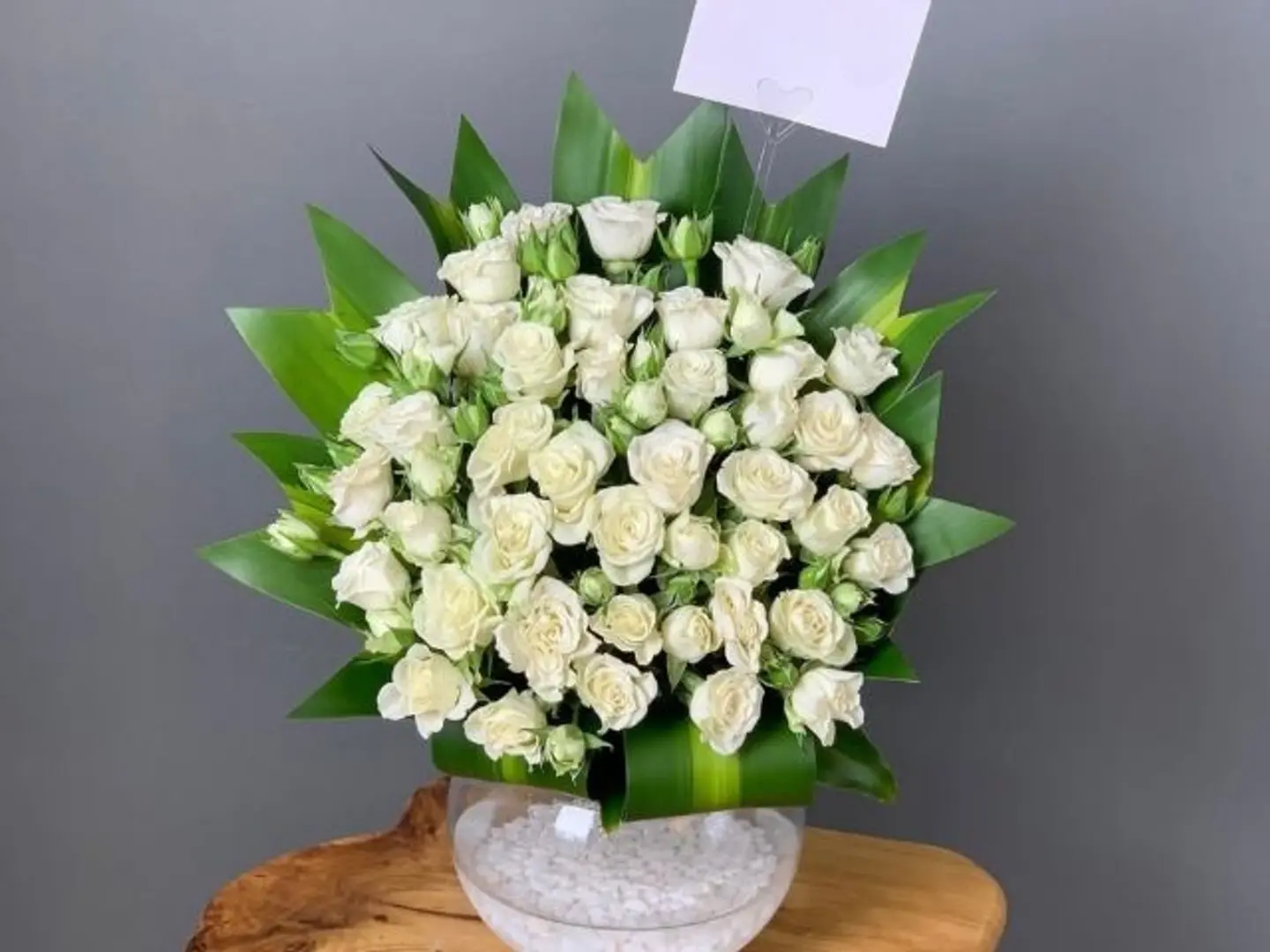 فازة ورد بيبي روز أبيض